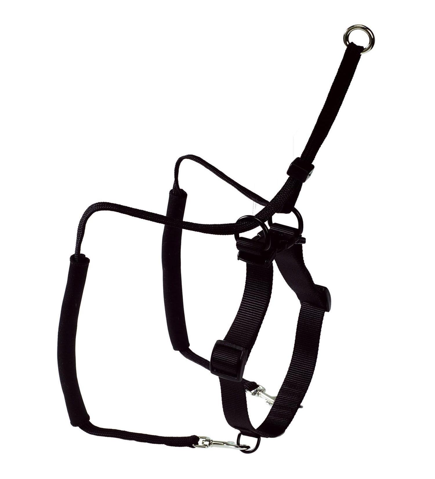 HUNTER Training & Education Harness - Side by Side - Black (39-51 cm) | International Shipping Available - Buy Online on GoSupps.com