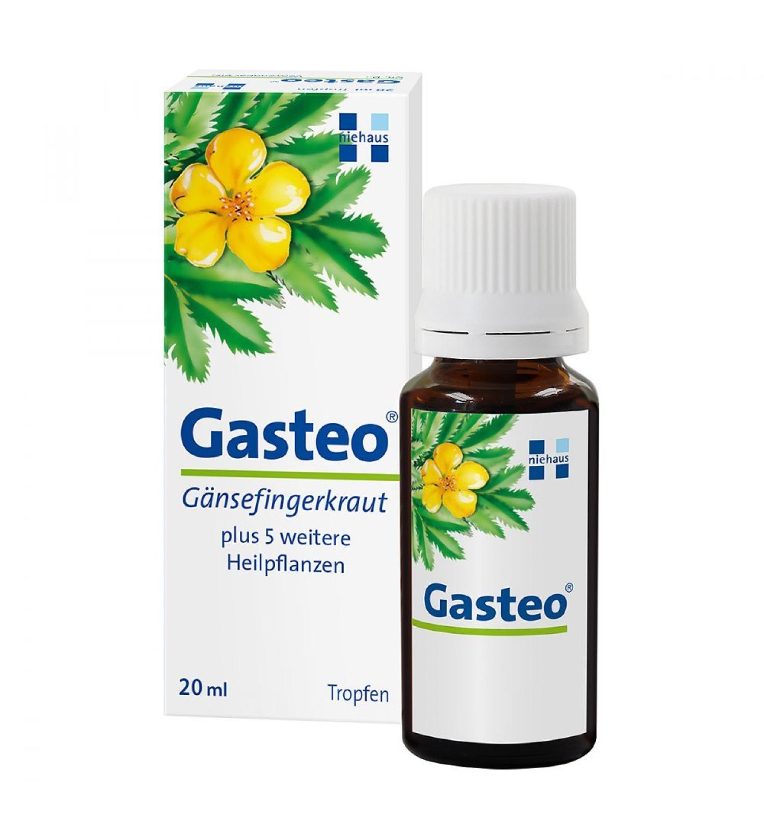 Gasteo Stomach Drops - 6 Unique Gastrointestinal Plants - 20ml for Digestive Relief - Buy Internationally - Buy Online on GoSupps.com