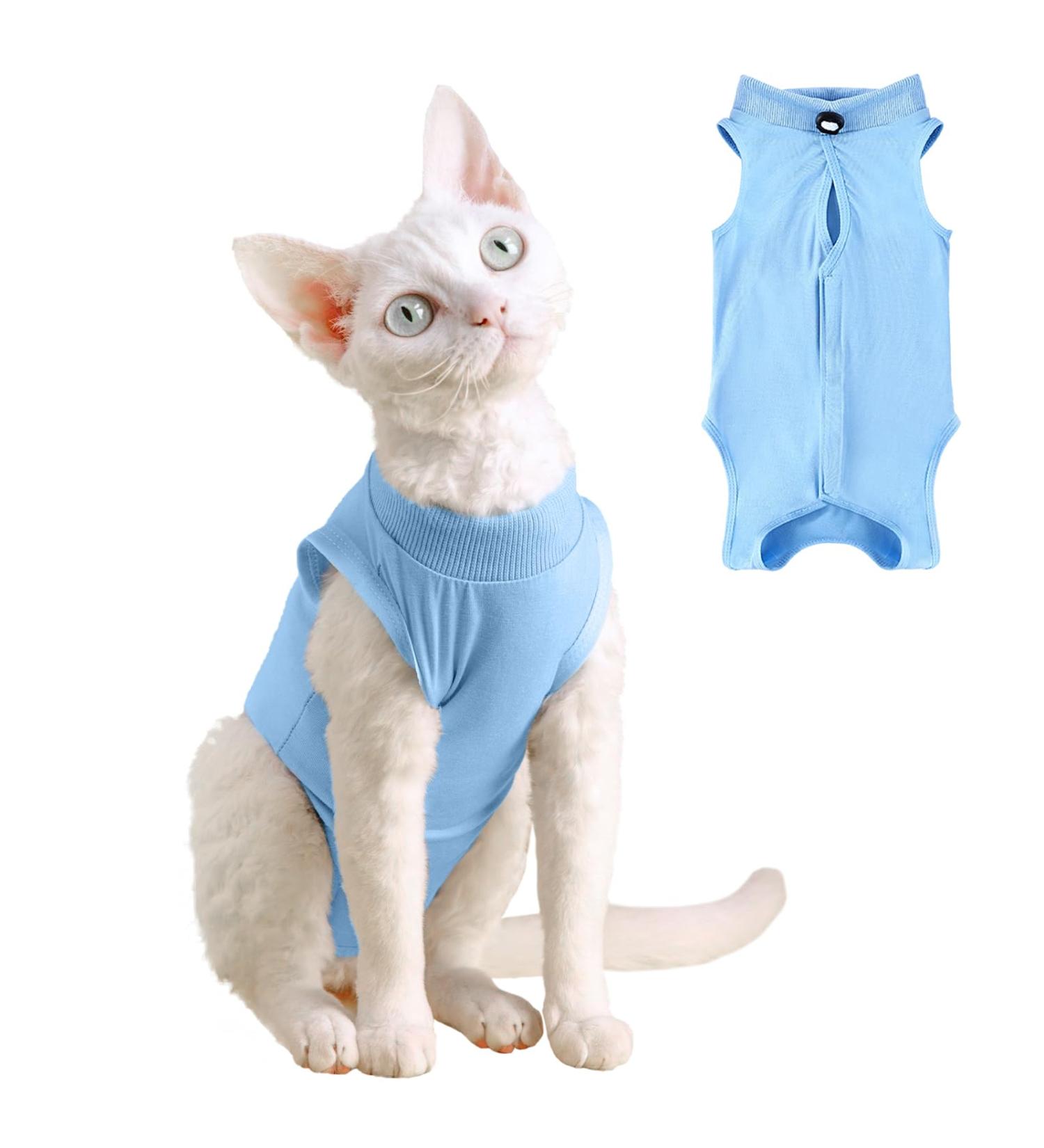 Yoolhamy Katzenbody - After Op Recovery Suit for Cats | Professional Post-Surgery Wear | E-Collar Alternative for Abdominal Wounds - Blue S - Buy Online on GoSupps.com