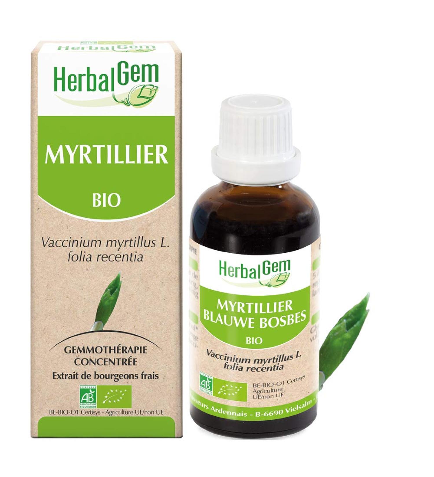 Pranar m Herbalgemm - Macerate Mother - Organic Blueberry - Food Supplement Gemmotherapy Concentrated - Fresh Bud Extract - For Eyes - Vegan - 30 ml - Buy Online on GoSupps.com