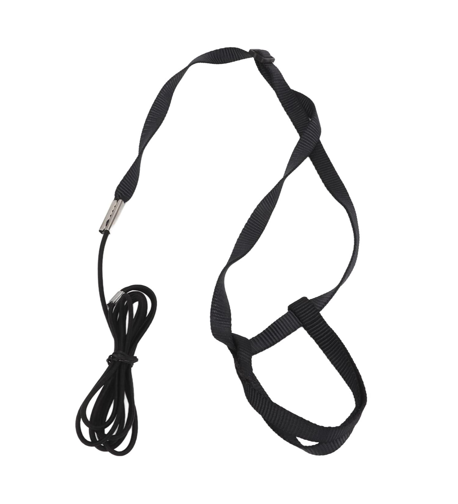 Adjustable Bird Dishes & Leash for Parrots - PAPPAGES THE FLUCHEN Perfect for Gray Cacadu - Shop Internationally! - Buy Online on GoSupps.com