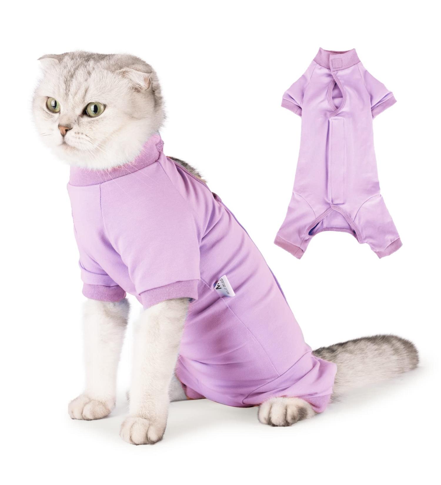 Shop Heywean Katzenbody - Post-Surgery Recovery Shirt for Cats | Long-Sleeved Anti-Trim XS Purple | Ideal After Castration Surgery - Buy Online on GoSupps.com