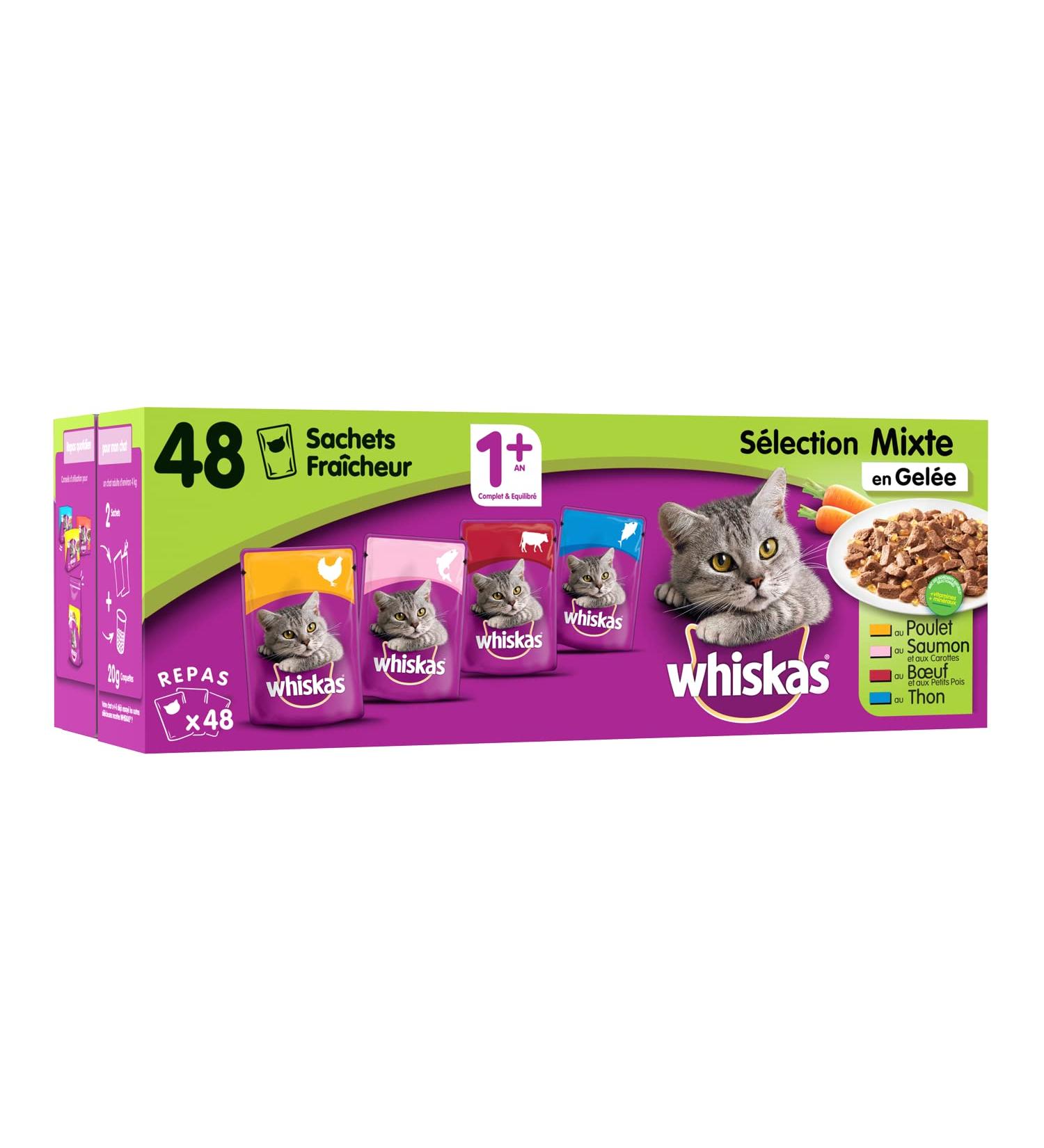 Whiskas Meat and Fish Fresh Sachets in Gravy for Cats In jelly: Salmon Tuna Chicken Beef 100 g (Pack of 48)