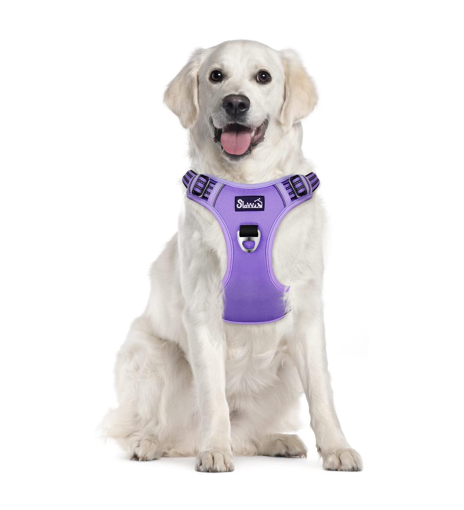 Eyin Dog Harness for Large Dogs - Adjustable Breathable & Reflective Padded with Handle - Perfect for Daily Training (Purple L) - Buy Online on GoSupps.com