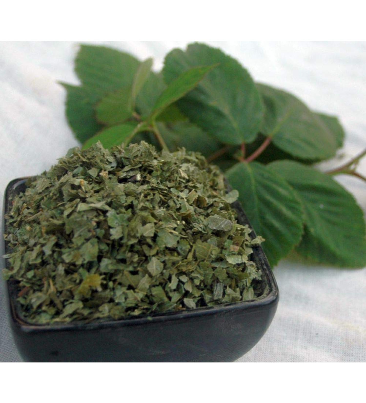 Krauterino24 - Blackberry leaves cut quantity: 100g