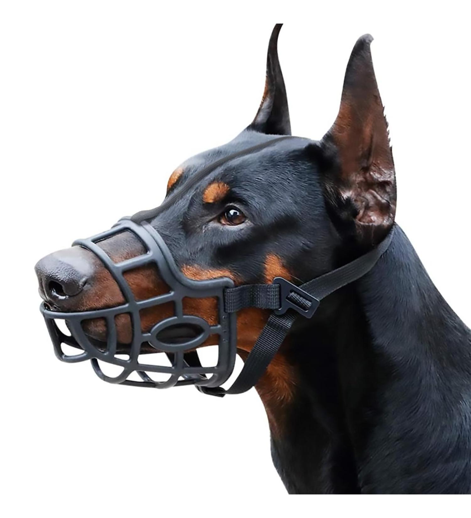 Breathable Dog Muzzle - Stop Biting Barking & Chewing for Small to X-Large Breeds | L-Jumper Spaniel Black - Buy Online on GoSupps.com