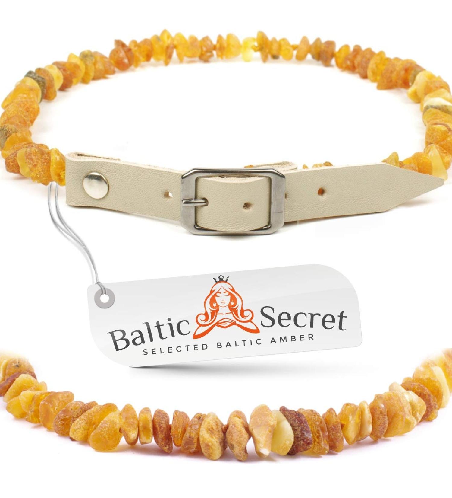 Bank Chain Dog & Cat Amber Neck Band - 100% Leather Strap Raw Baltic Amber Flea & Tick Protection Collar - Buy Online on GoSupps.com