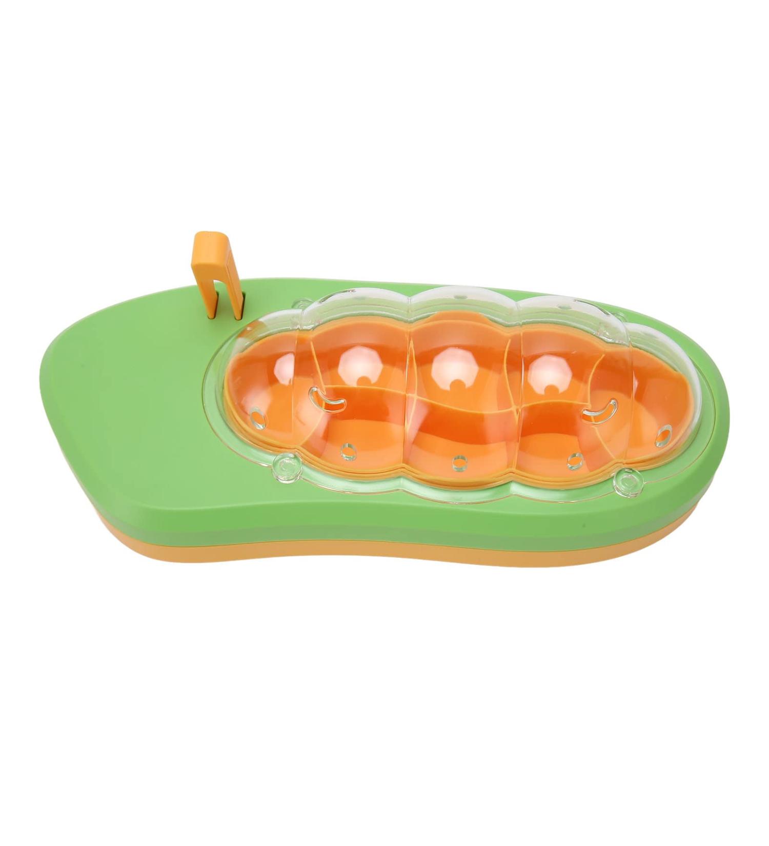 Observation Box Baby Silkworm Shape Silkworm Rearing Bucket Mesh Hole Design Multifunctional Educational for Reptiles (Green) - Buy Online on GoSupps.com