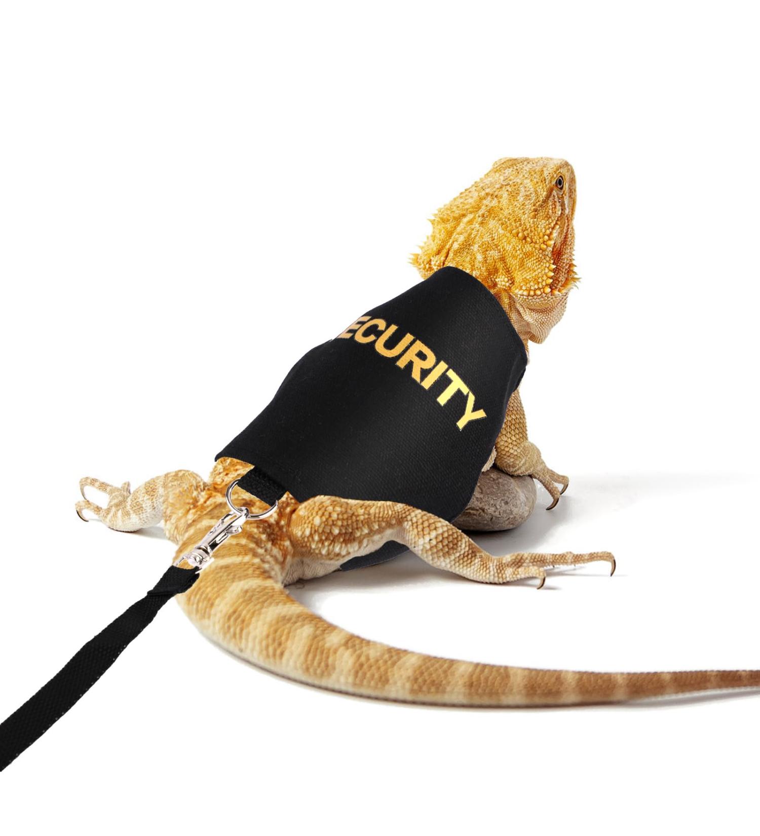 Shop Bartagame Leash & Dishes for Reptiles - Adjustable Linen Leash & Accessories for Amphibians Chameleons & Small Pets - Perfect for Outdoor Security & Walks - Buy Online on GoSupps.com