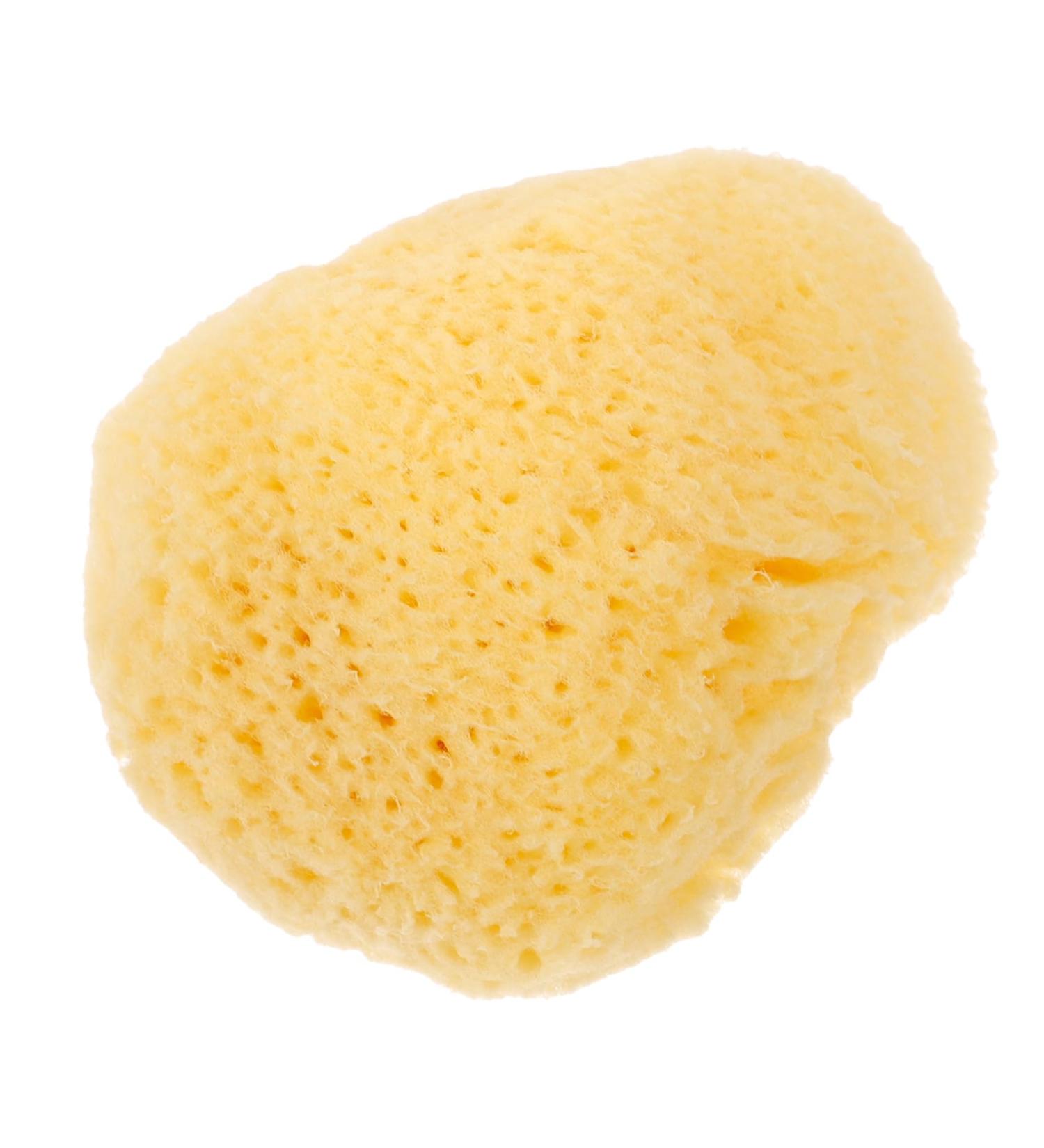 HAPINARY Natural Sponge Greece Face Sponges for Cleansing and Exfoliating Facial Essentials Face Cleaning Pad Sponges for Facials Facial Cleansing Sponge Cleansing Sponges for Face - Buy Online on GoSupps.com