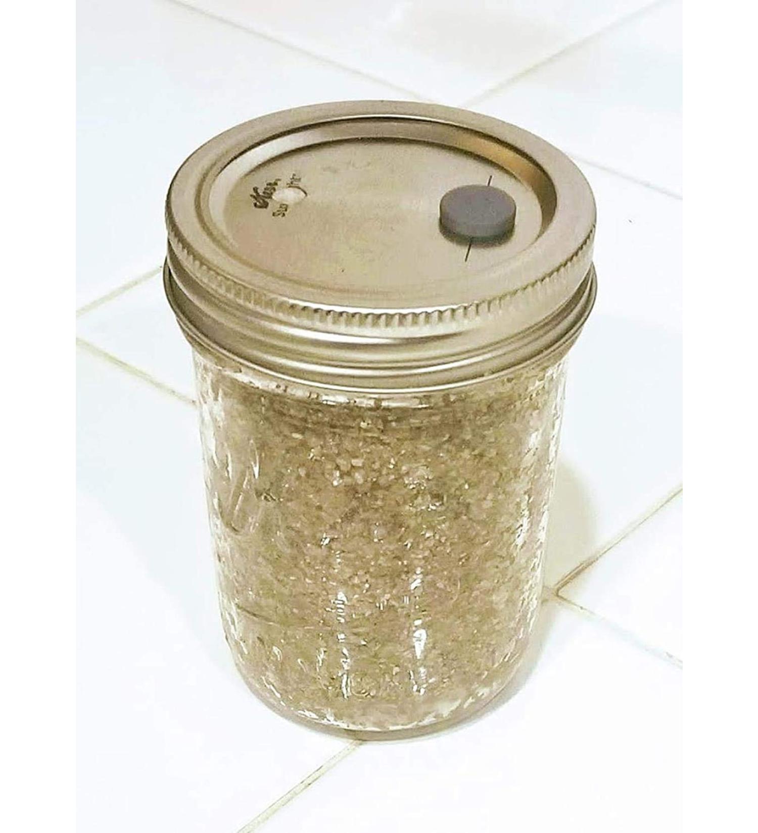BRF PF Tek Brown Rice Flour Mushroom Substrate - 1/2 Pint Jar - Buy Online on GoSupps.com
