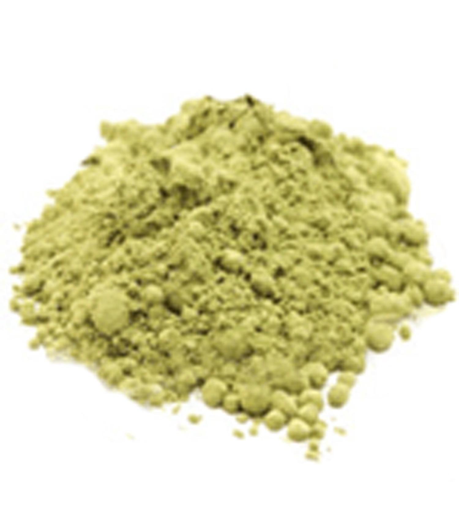 Best Botanicals Hoodia Powder 16 oz. 16 Ounce (Pack of 1) - Buy Online on GoSupps.com