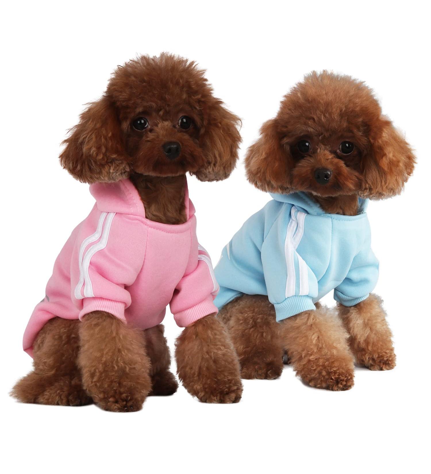 Shop Fashion Dog Hoodie | Pure Cotton Sweatshirt for Small & Medium Dogs | Stylish Streetwear Outfit in Light Blue & Pink - XXL - Buy Online on GoSupps.com