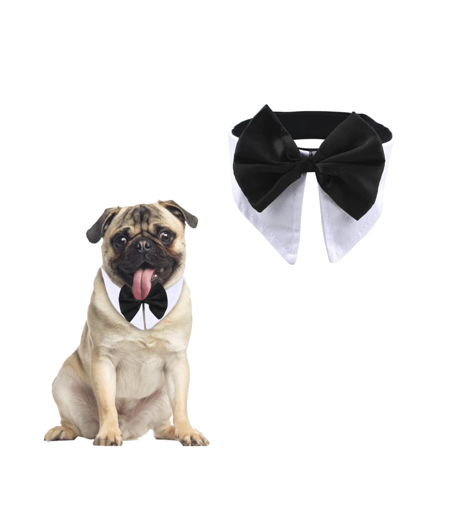 Shop Hacraho Adjustable Tuxedo Fly for Dogs - Formal Pet Costume for Weddings | Fits XS Medium Pets (Neck 40.6 45.7 cm) - Buy Online on GoSupps.com