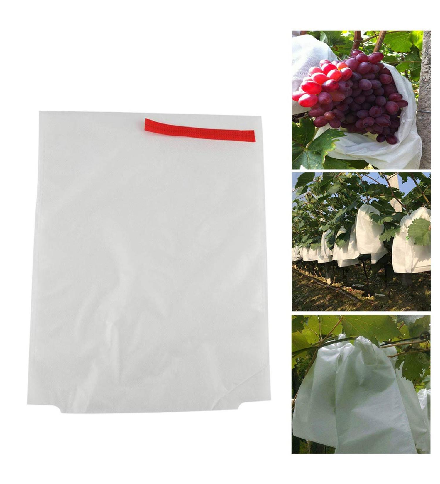 jweemax 100Pcs Nylon Fruit Bags Anti-Bird Protect Bags Reusable Net Bags Grapes Protection Bags with Drawstring - Buy Online on GoSupps.com