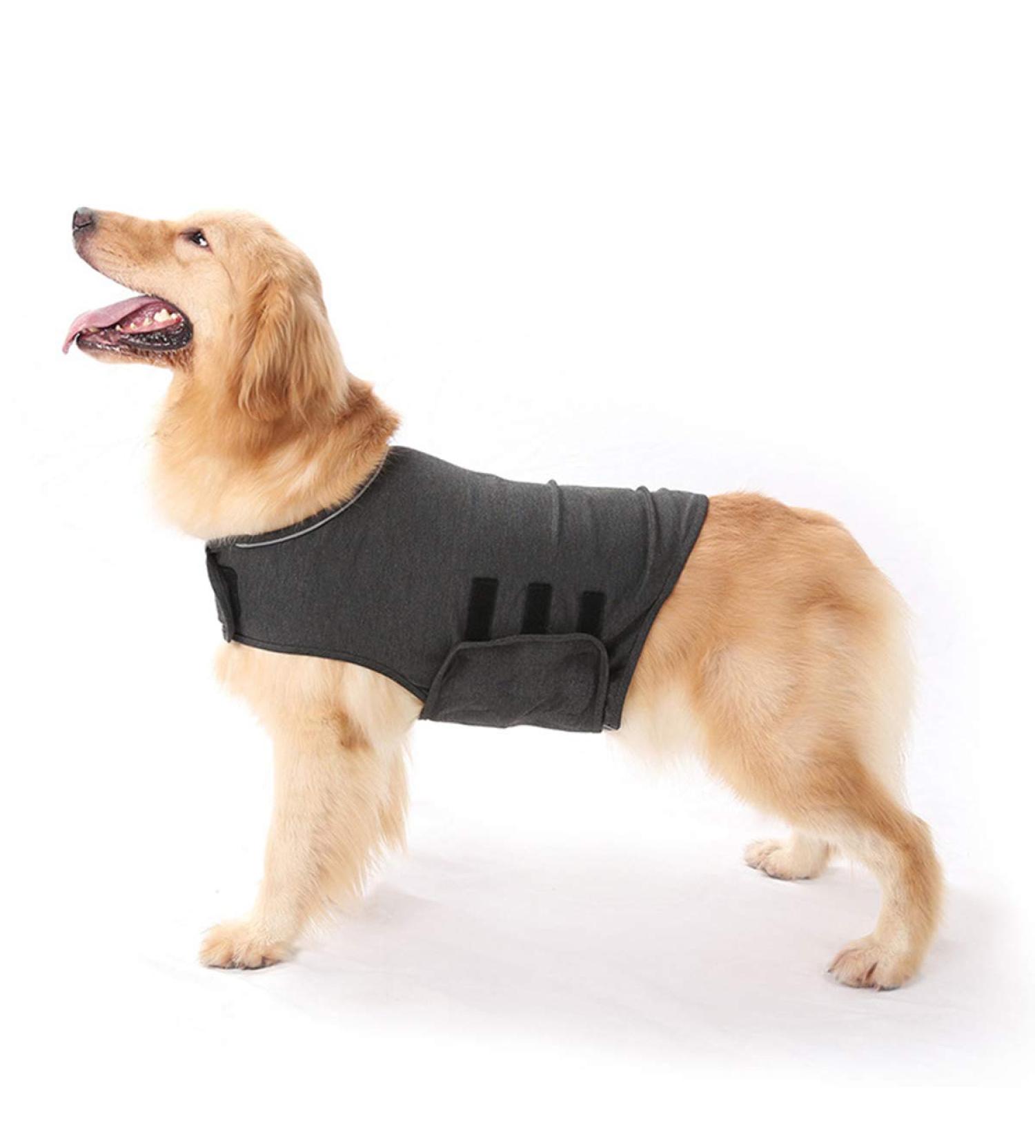 Gojiny Dog Anxiety Jacket | Calming Coat for Stress Relief | Thunder Jacket - Dark Grey S - Buy Online on GoSupps.com