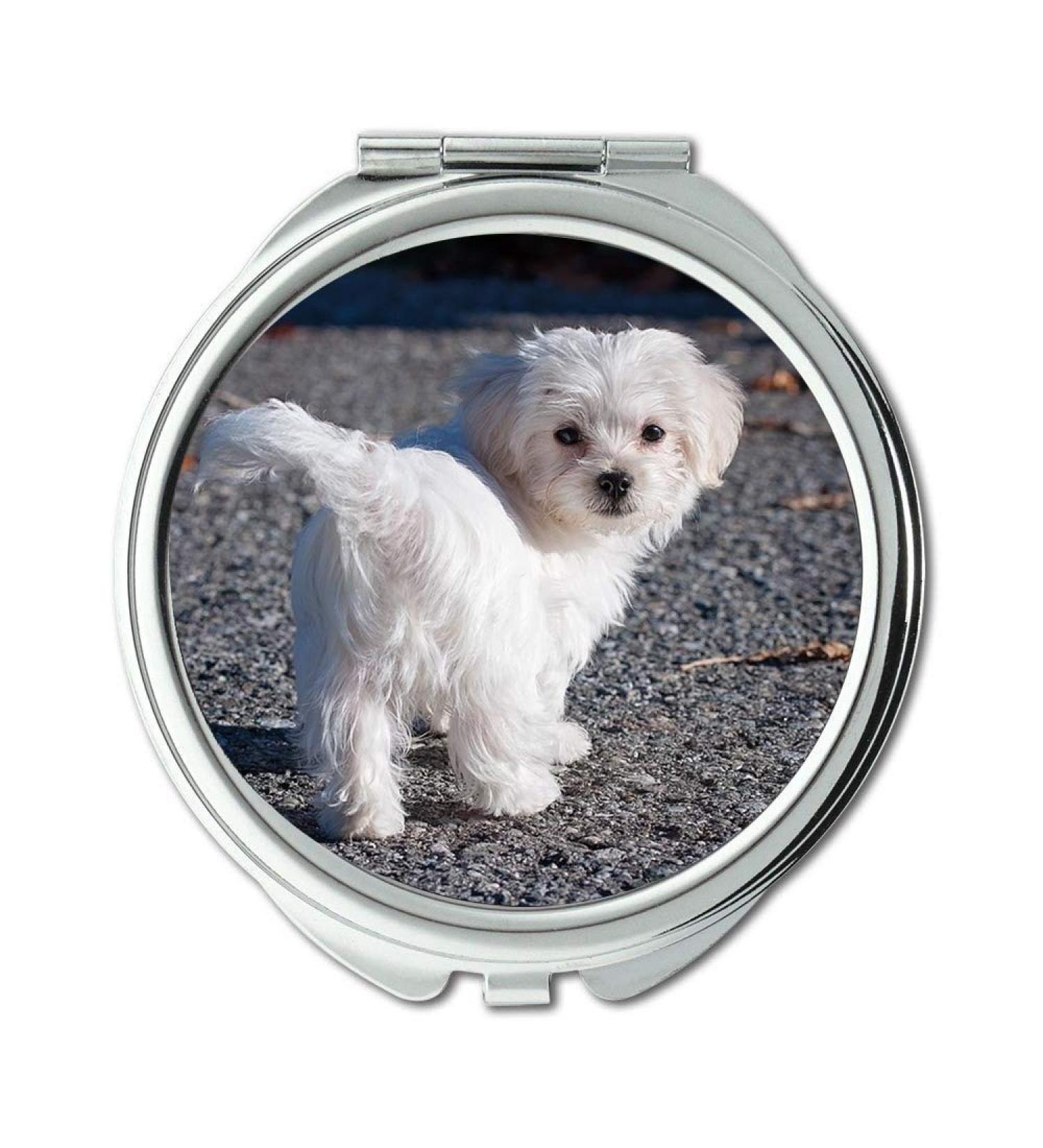Mirror Compact Mirror Dog Maltese White Young Dog Puppy Small Sweet pocket mirror portable mirror - Buy Online on GoSupps.com