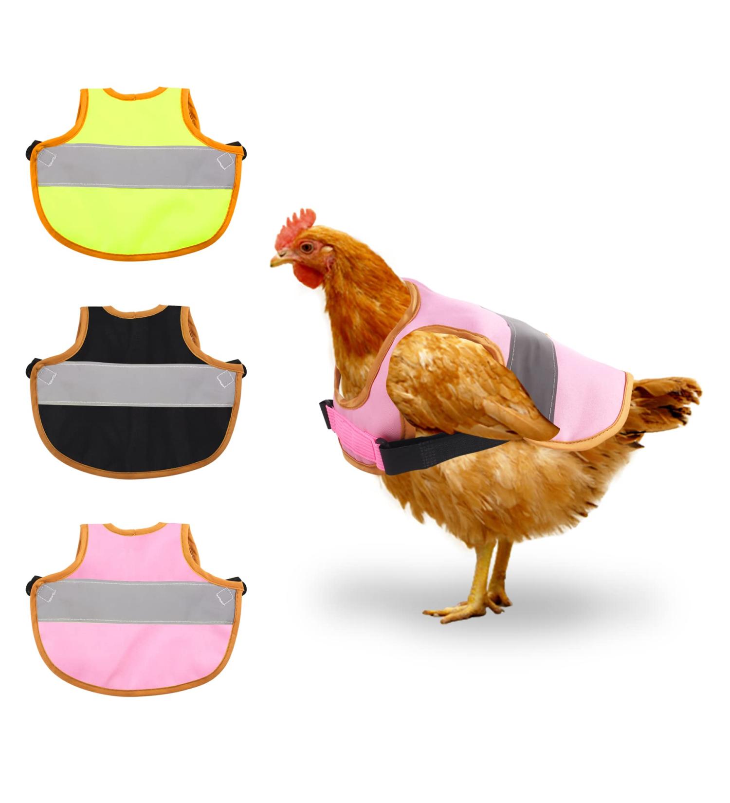 Vehipa 3 Pcs Reflective Chicken Vest Set - Adjustable Harness for Poultry - Feather Protection for Hen, Geese, Duck - Buy Online on GoSupps.com