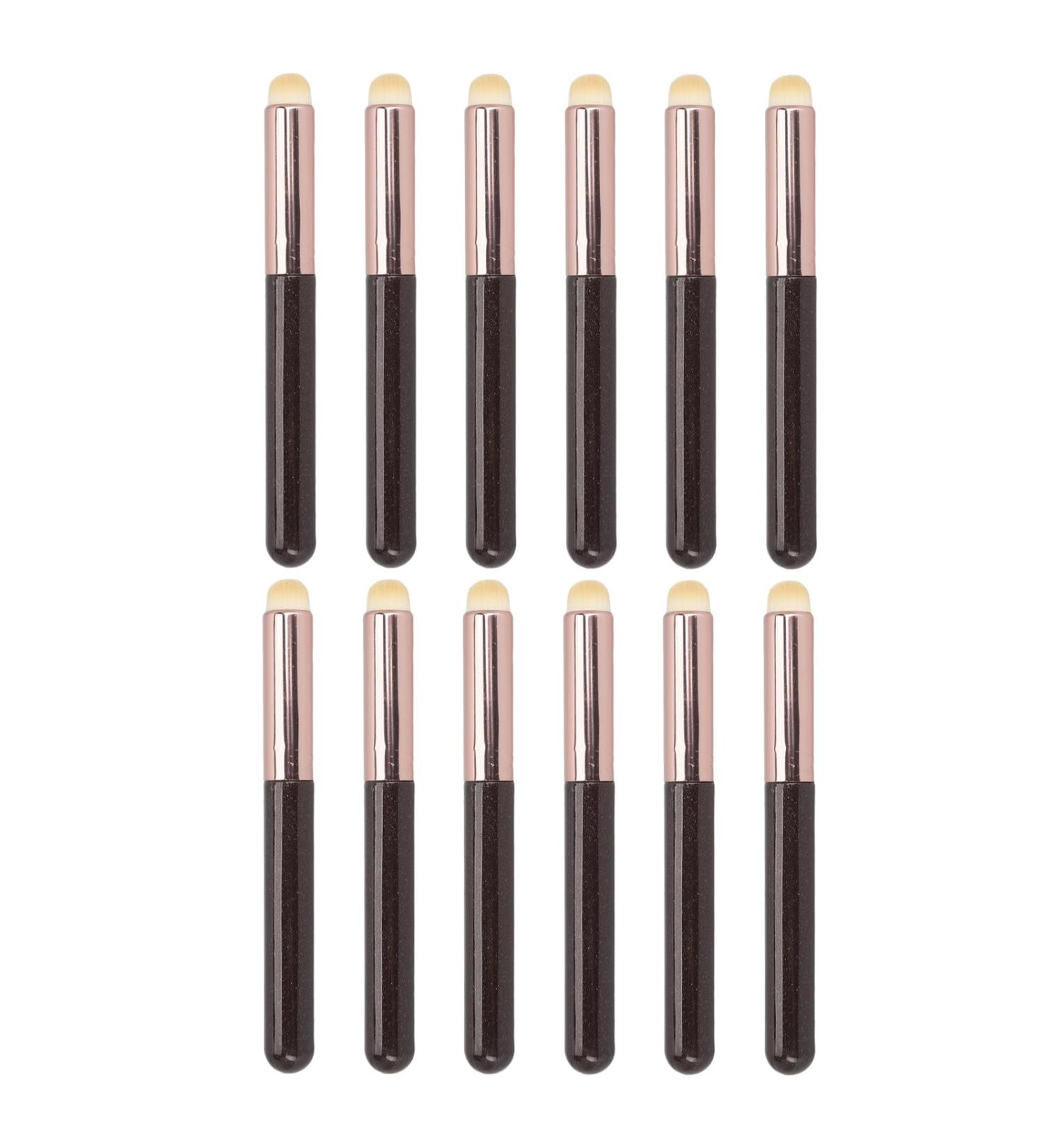 Professional Lip Brush Set 12Pcs Fiber Brush with Round Head Portable for Travel Makeup Artist Essential for Lip Makeup - Buy Online on GoSupps.com