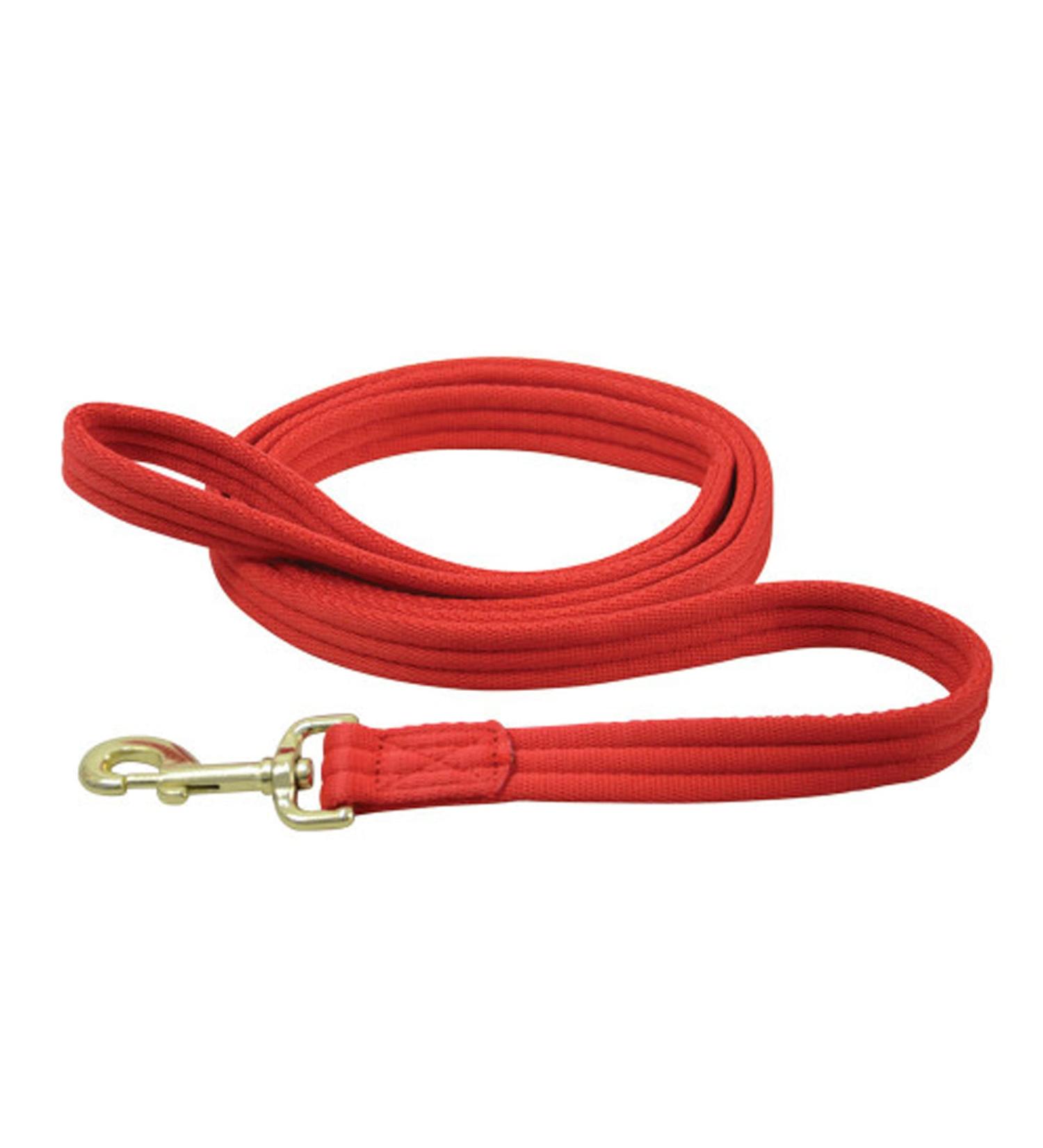 Hy Soft Webbing Lead Rein Without Chain Red - Buy Online on GoSupps.com