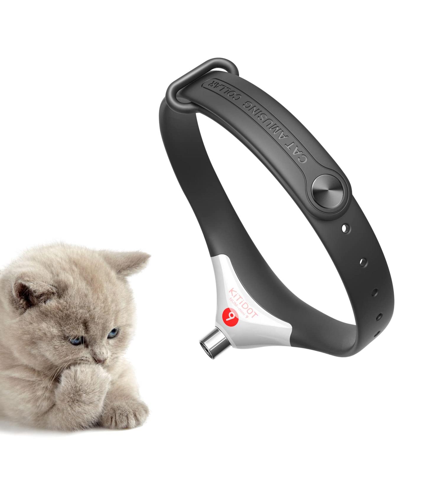 Amusing Cat Collar: Red Light Toy with 3 Beam Modes, Micro-USB Charging - Electronic Training Collars in Black and White - Buy Online on GoSupps.com