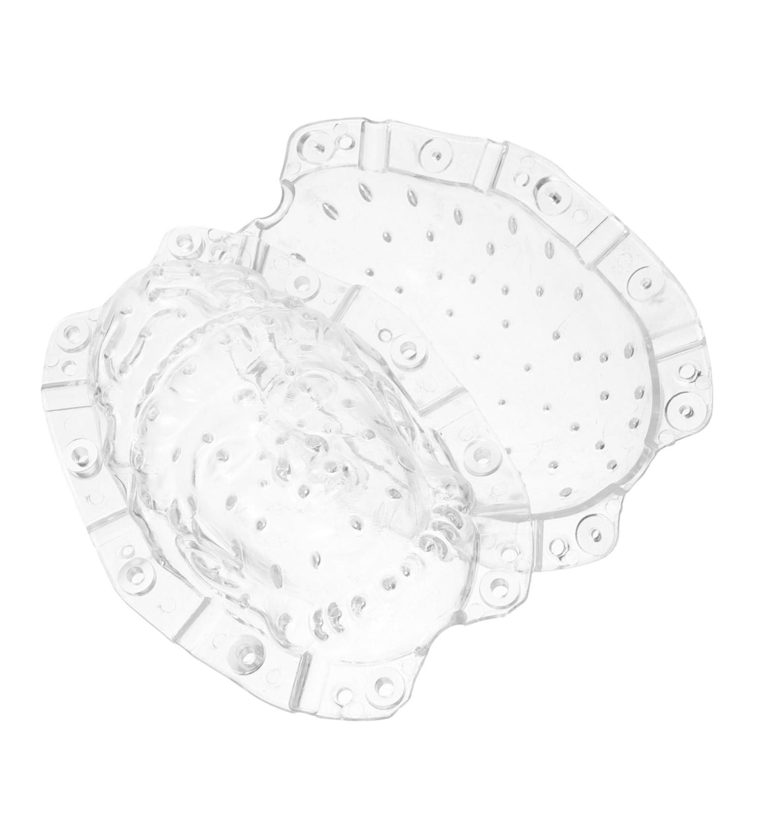 CIYODO Fruits Forming Mould Gardener Small for Creative Buddha Ginseng Shaper Growth Reusable Supply Shaped Growing Forming - Buy Online on GoSupps.com