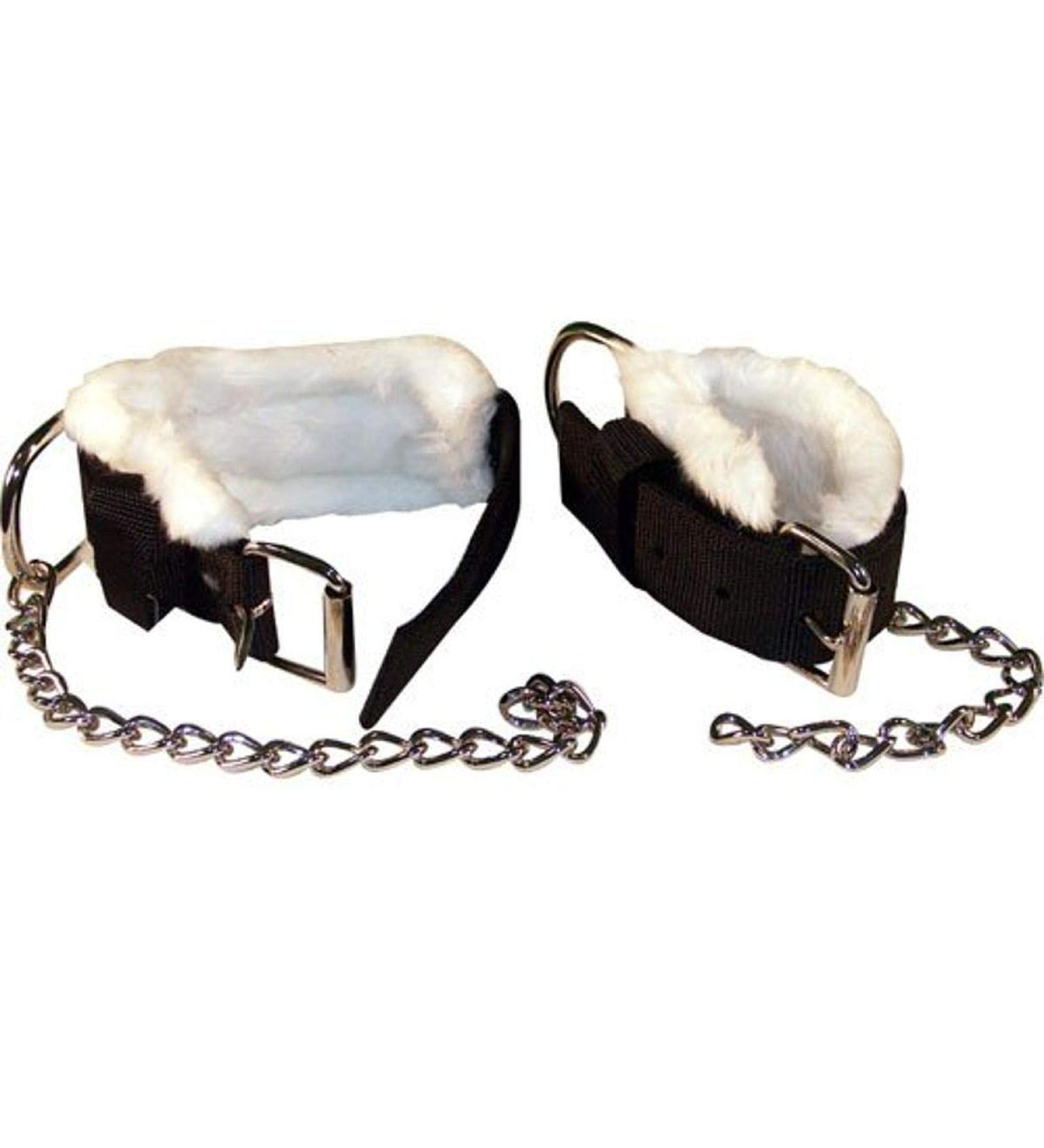 Intrepid International Horse Kicking Chains 1