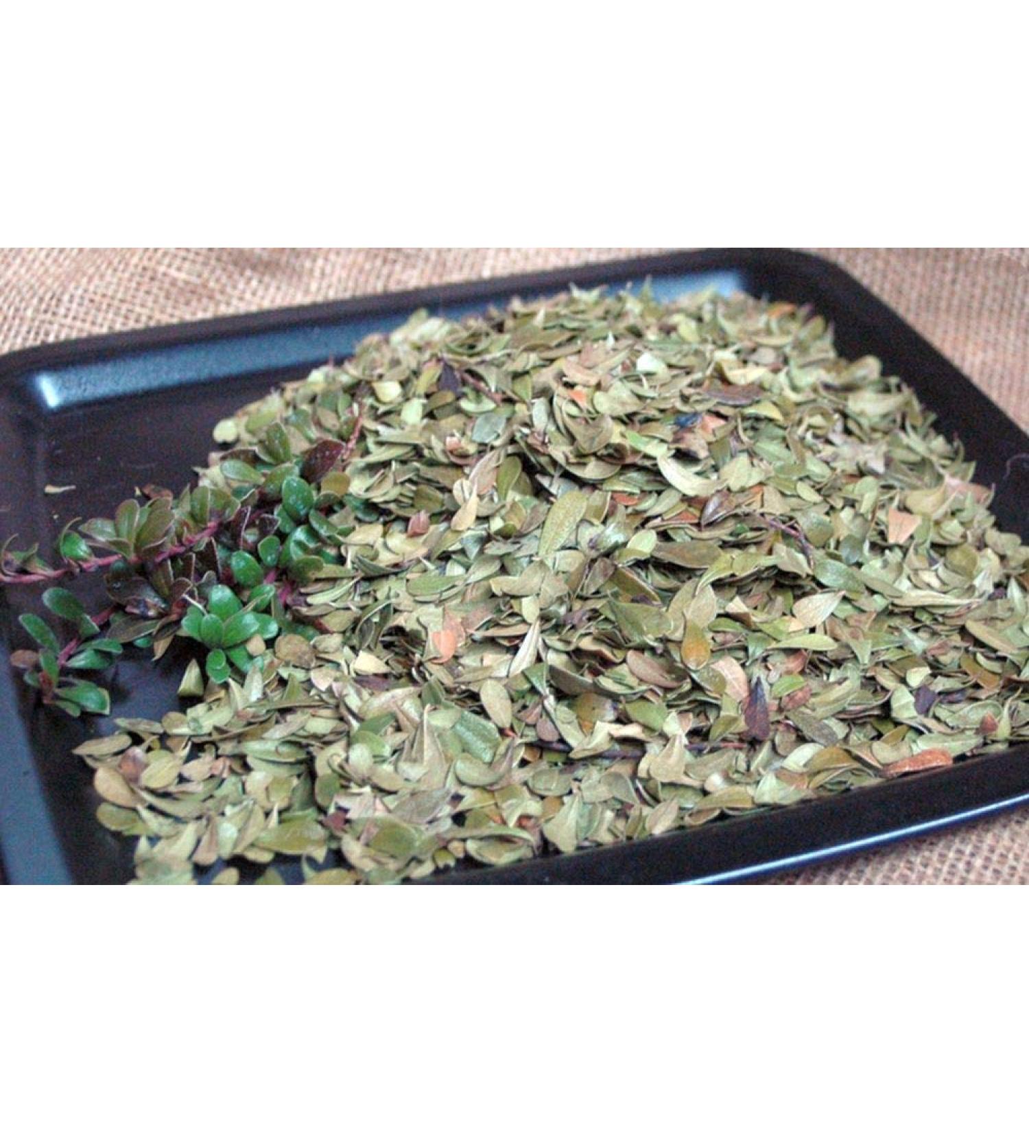 Krauterino24 Krauterino24 - Whole bearberry leaves quantity: 100 g