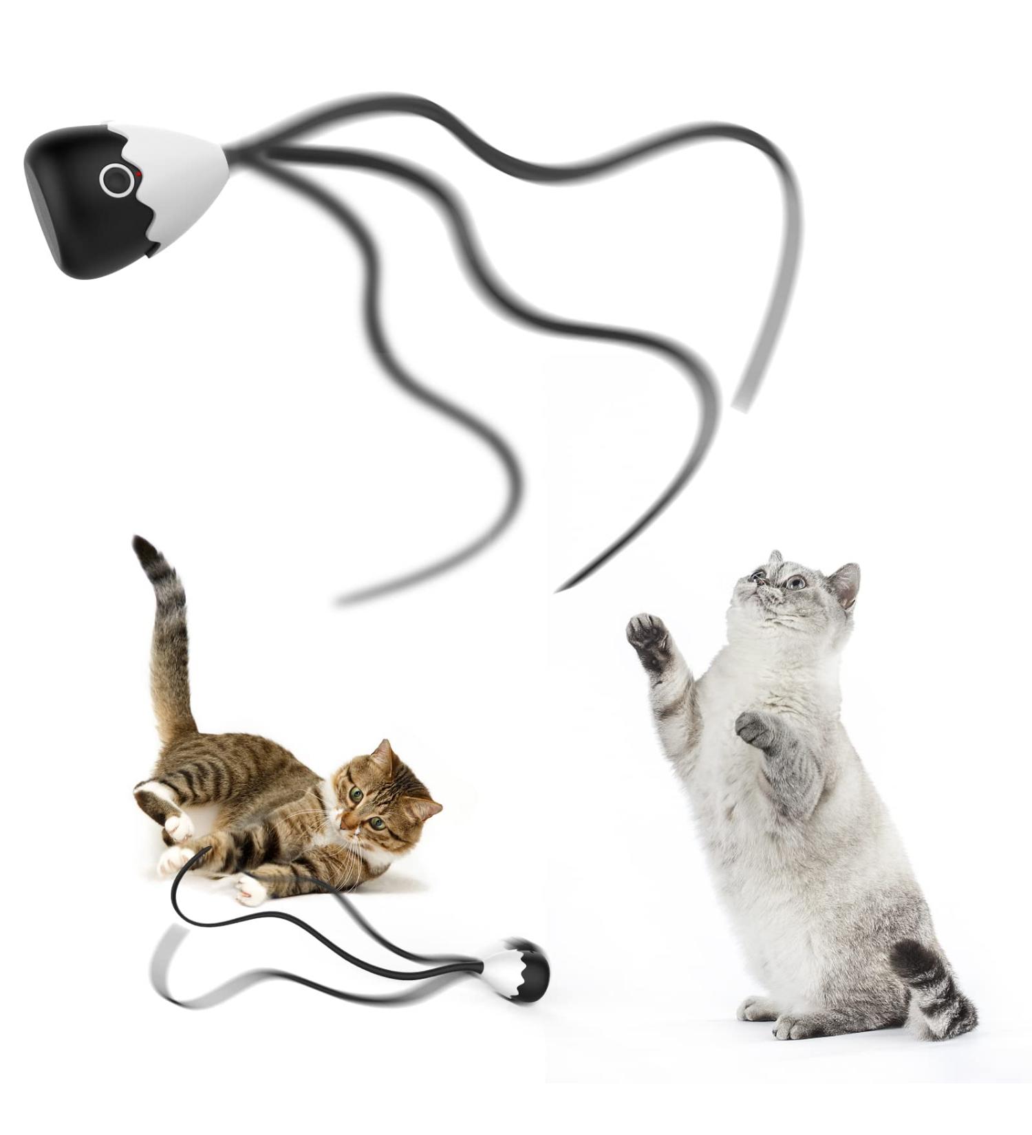 Cat Wand Toy: 2-in-1 Automatic Silicone Tail Teaser for Indoor Cats - Rechargeable & Interactive Electronic Exercise Toy (Black) - Buy Online on GoSupps.com