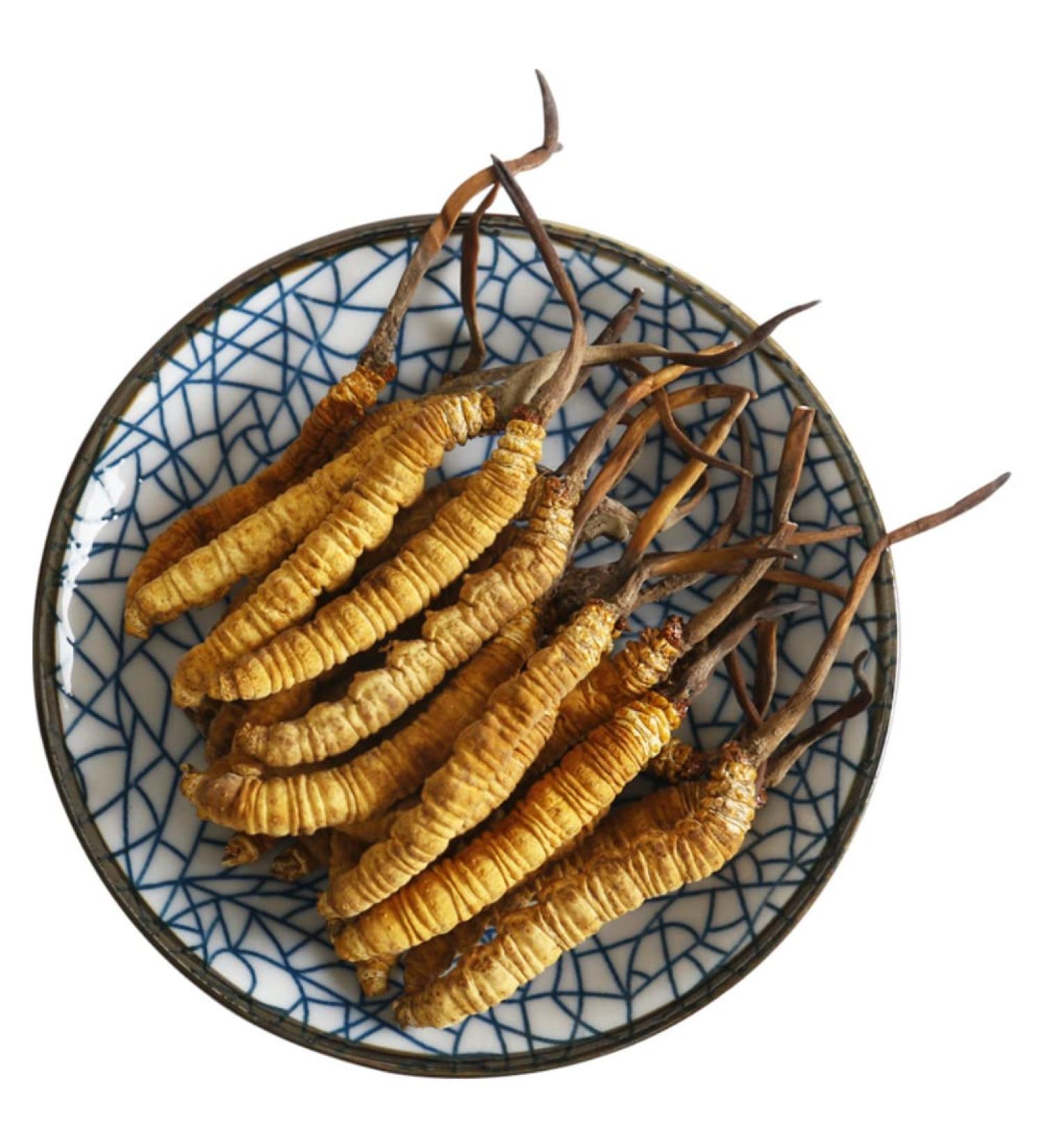 10 Grams Cordyceps Sinensis Chinese Caterpillar Fungus(Dong Chong Xia Cao) Wild Cordyceps 100% Wild Himalayan Cordyceps Sinensis. 1 Count (Pack of 1)