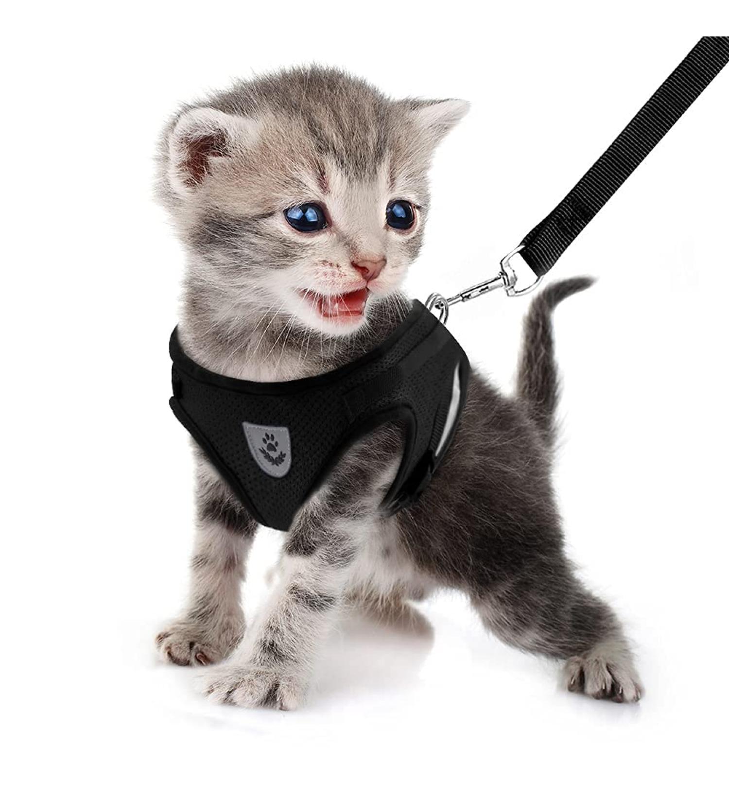 Femax Cat Dishes with Leash for Dogs & Cats - Adjustable No Pull Mesh Puppy Dishes for Training - XS (Chest 26-29 cm) - Breathable Black - Buy Online on GoSupps.com