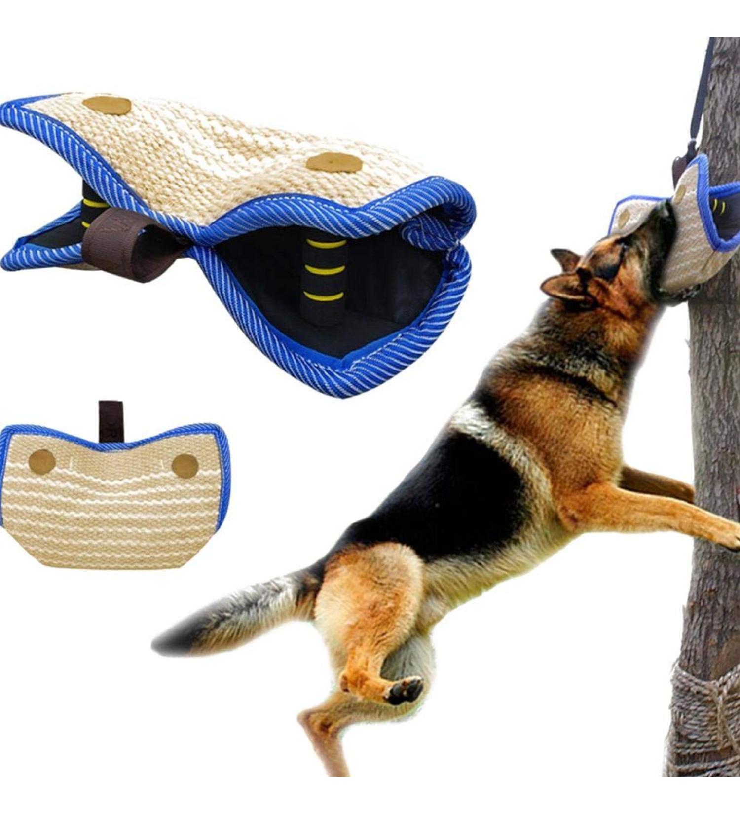 Bite Board Dog Training Equipment Protective Sleeve Arm Protector For Left Right Hand Teething Cushion Training Young Dog Medium Size Dog Training Supplies Bite Cushion Arm Protection Dog Sports Toy - Buy Online on GoSupps.com