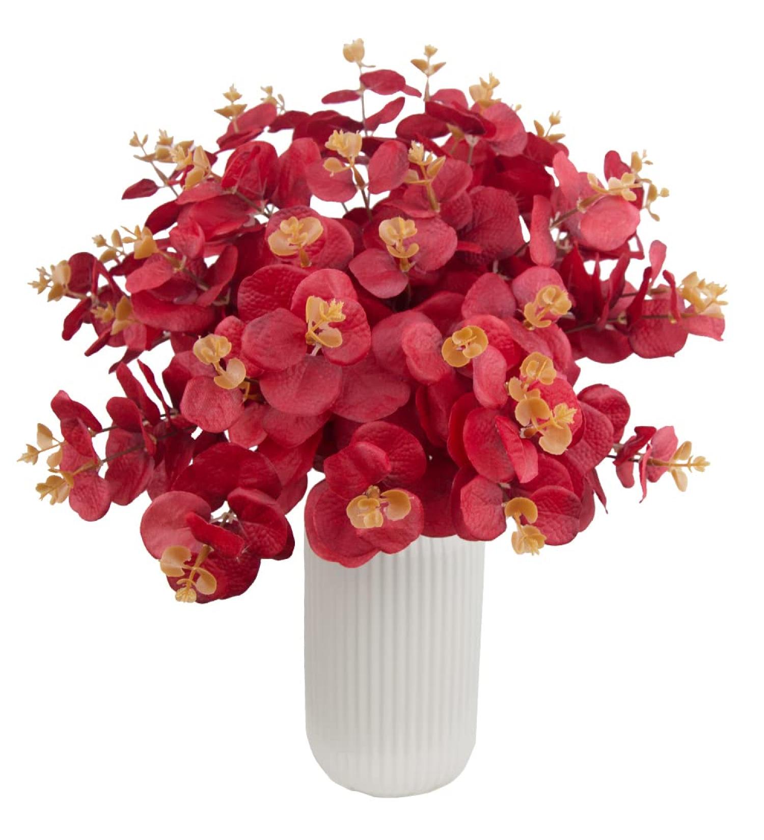 red Eucalyptus Leaves - Buy Online on GoSupps.com