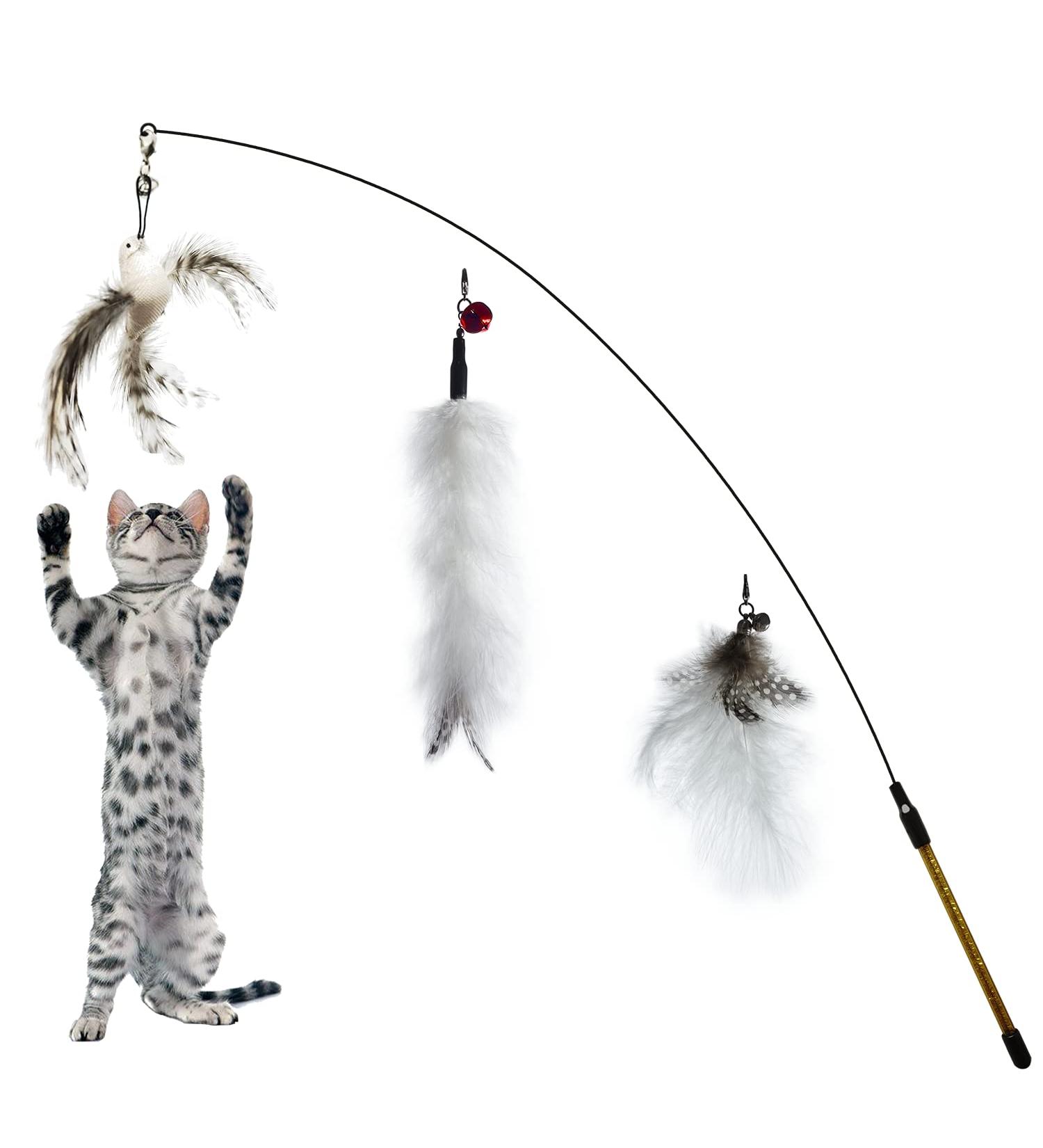 Latest cat toys best sale