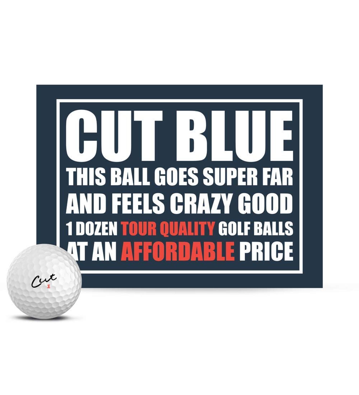 Blue 4 Piece Urethane Golf Balls - One Dozen, White Color - Buy Online on GoSupps.com