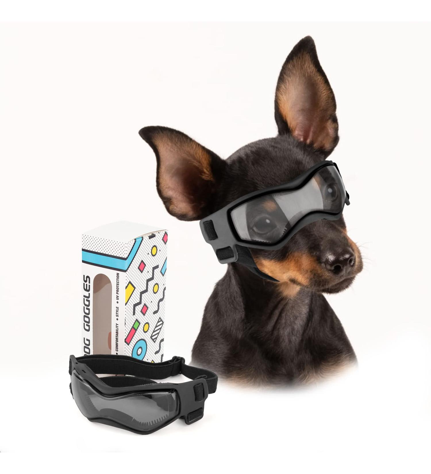 Petleso Small Breed Dog Goggles | UV Protection Sunglasses for Small Dogs | Outdoor Eyewear for Driving and Riding | Small Black - Buy Online on GoSupps.com