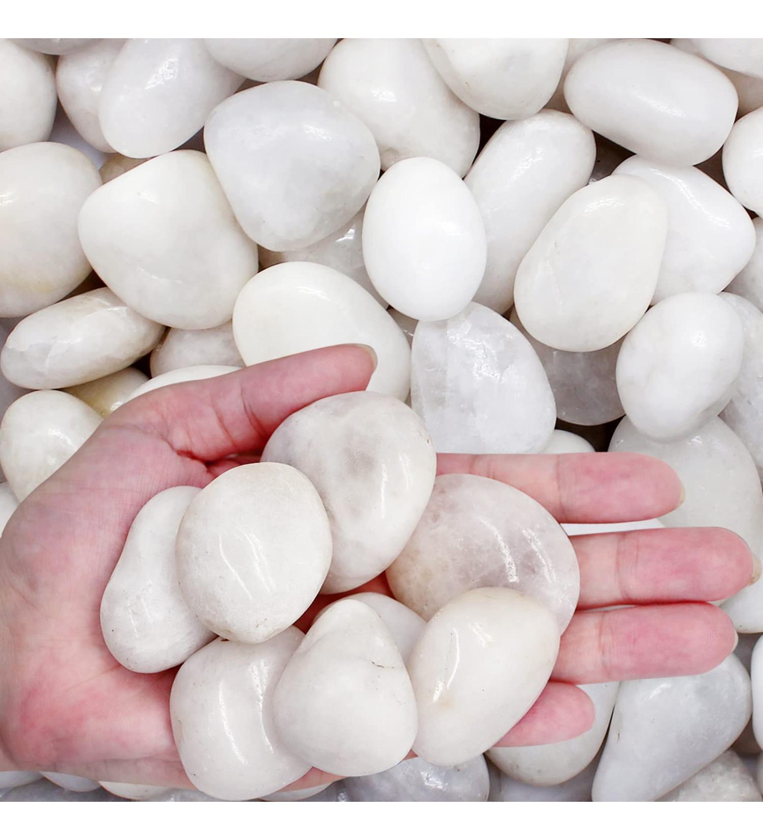 LONTOM 2.2lb White Pebbles Natural Decorative Stone Polished Gravel River Rocks for Plants Home DIY Decor Aquarium Gravel Vase Fillers Fairy Garden Landscaping Outdoor Stones - Buy Online on GoSupps.com