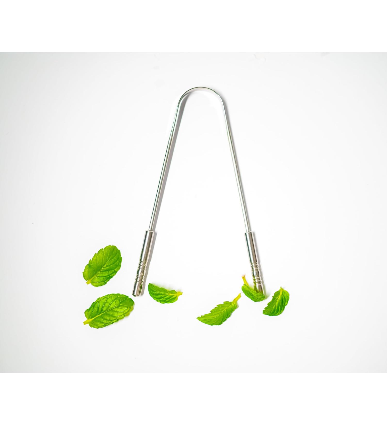 Metal Tongue Scraper - Stainless Steel Tongue Cleaner Tool for Fresh Breath- U-Shaped Travel Tongue Scraper with Flexible Design (1 Pack U-Shape Scraper) - Buy Online on GoSupps.com