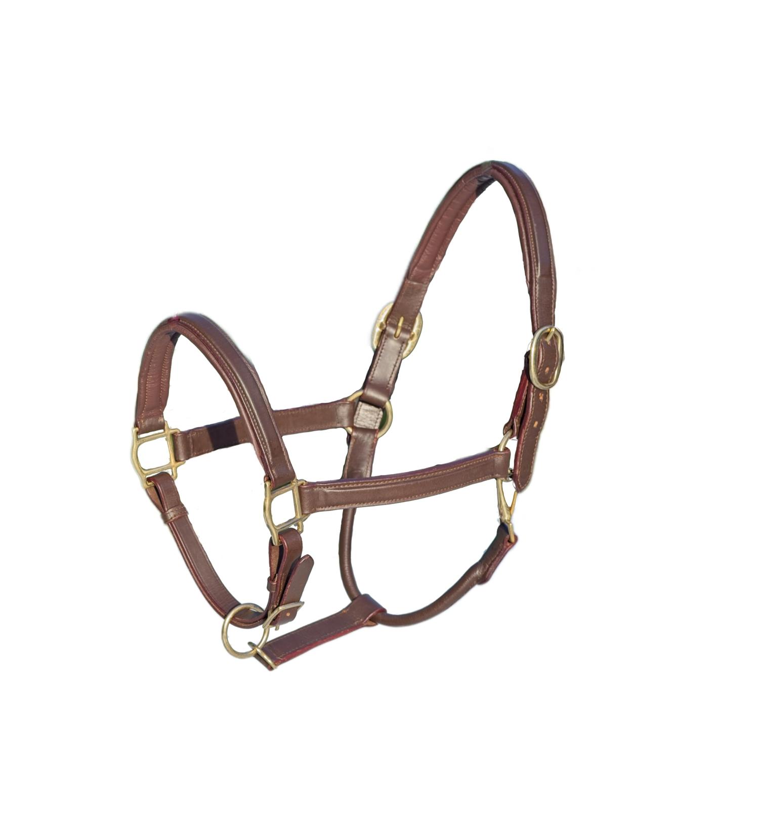 MiraQuine Leather Halter (WB/Full Brown) WB/ Full Brown