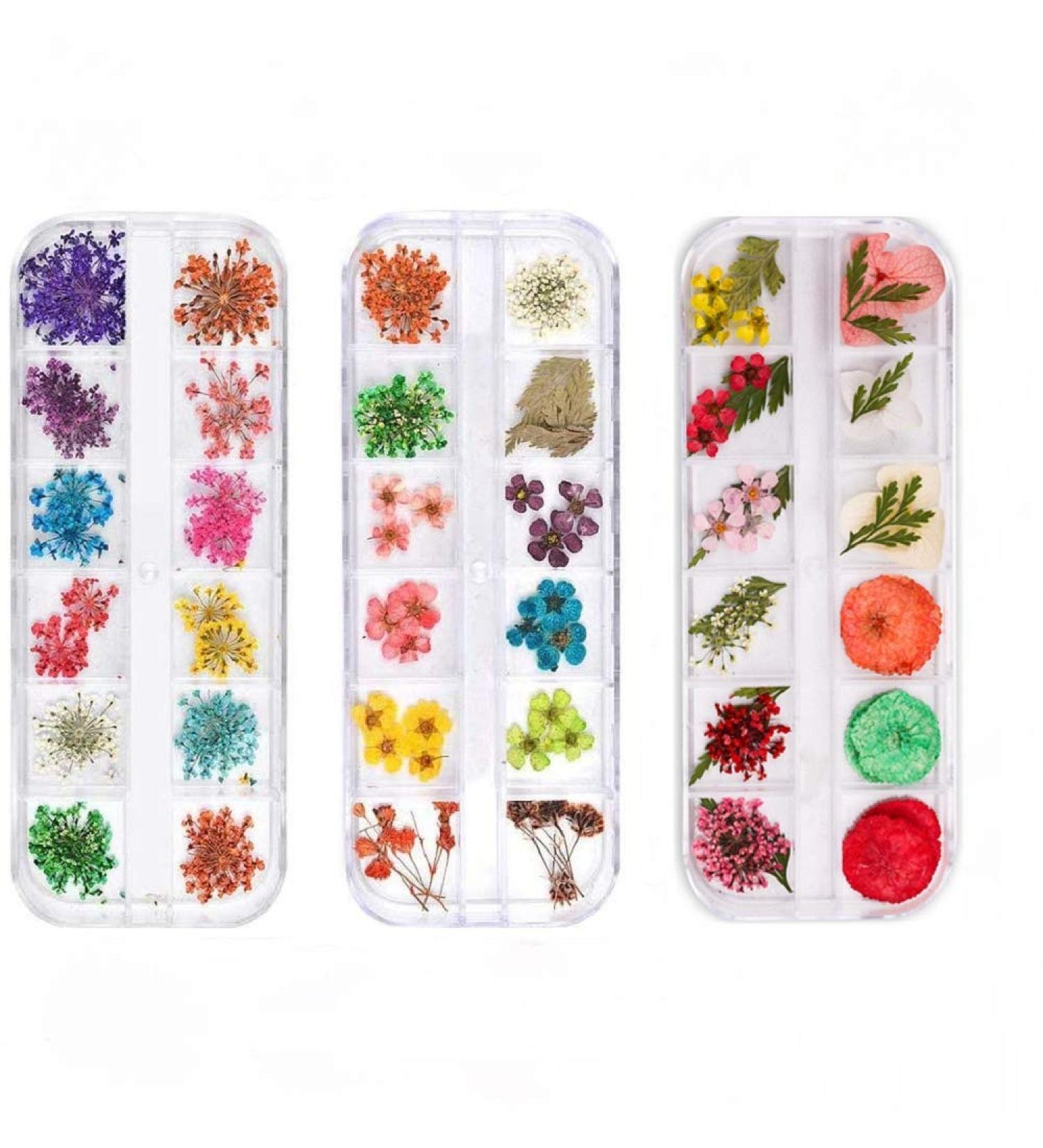 Multi-Colored Dried Flower Nail Art Set - 3 Boxes for Resin Jewelry & DIY Crafts - Buy Online on GoSupps.com