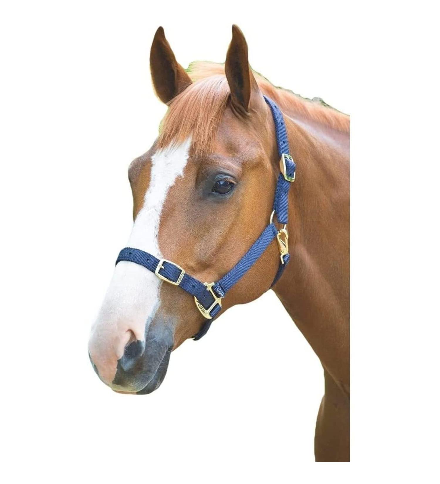 Shires Adjustable Pony/Horse Headcollar - Black Full Navy Full - Buy Online on GoSupps.com