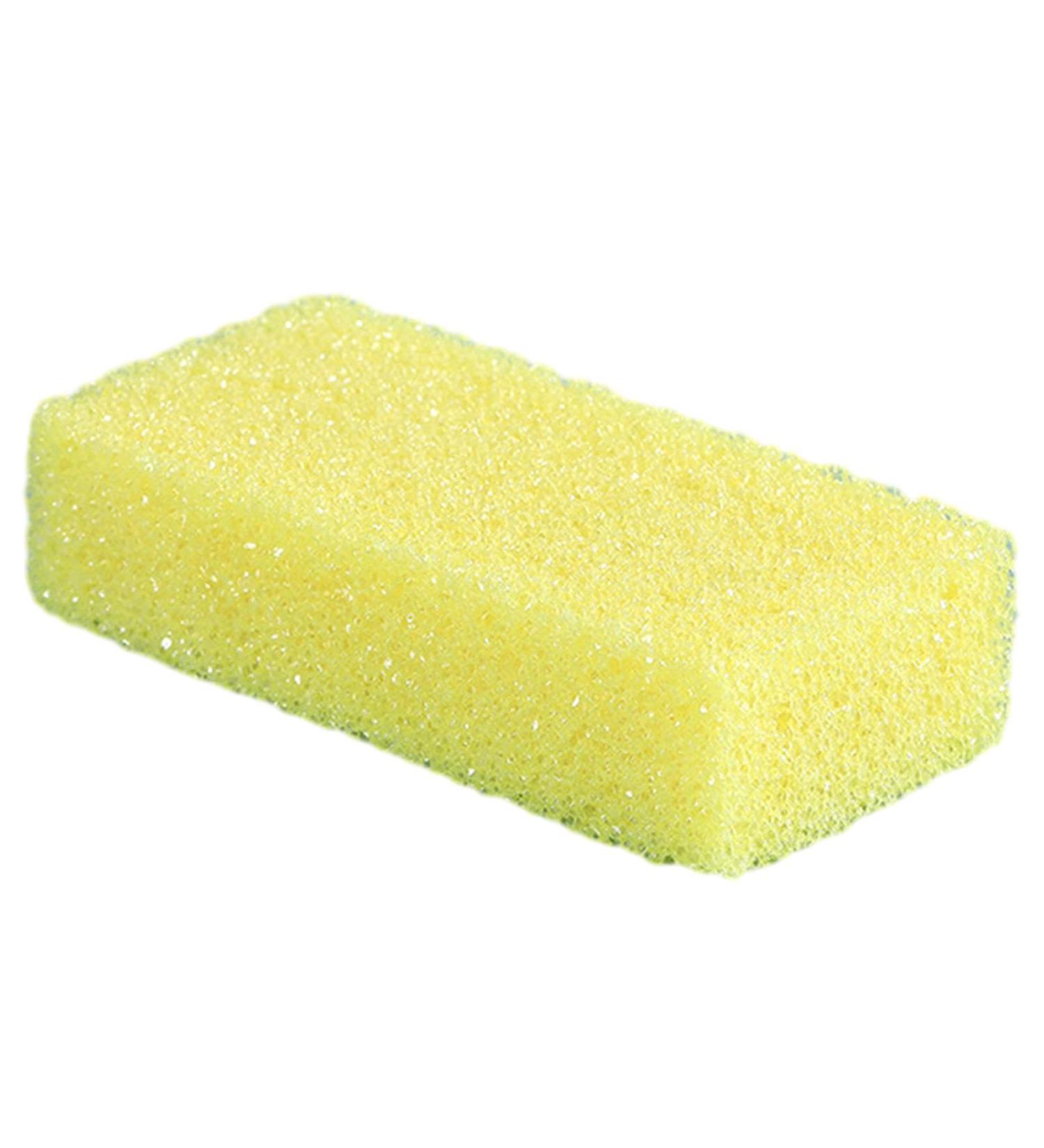 High-Quality Bimsstein Bar & Pumice Stone Foot Scrubber for Cracked Heels | Pedicure Foot Fish & PU Footstone - Exfoliate Dead Skin & Achieve Healthy Feet - Buy Online on GoSupps.com