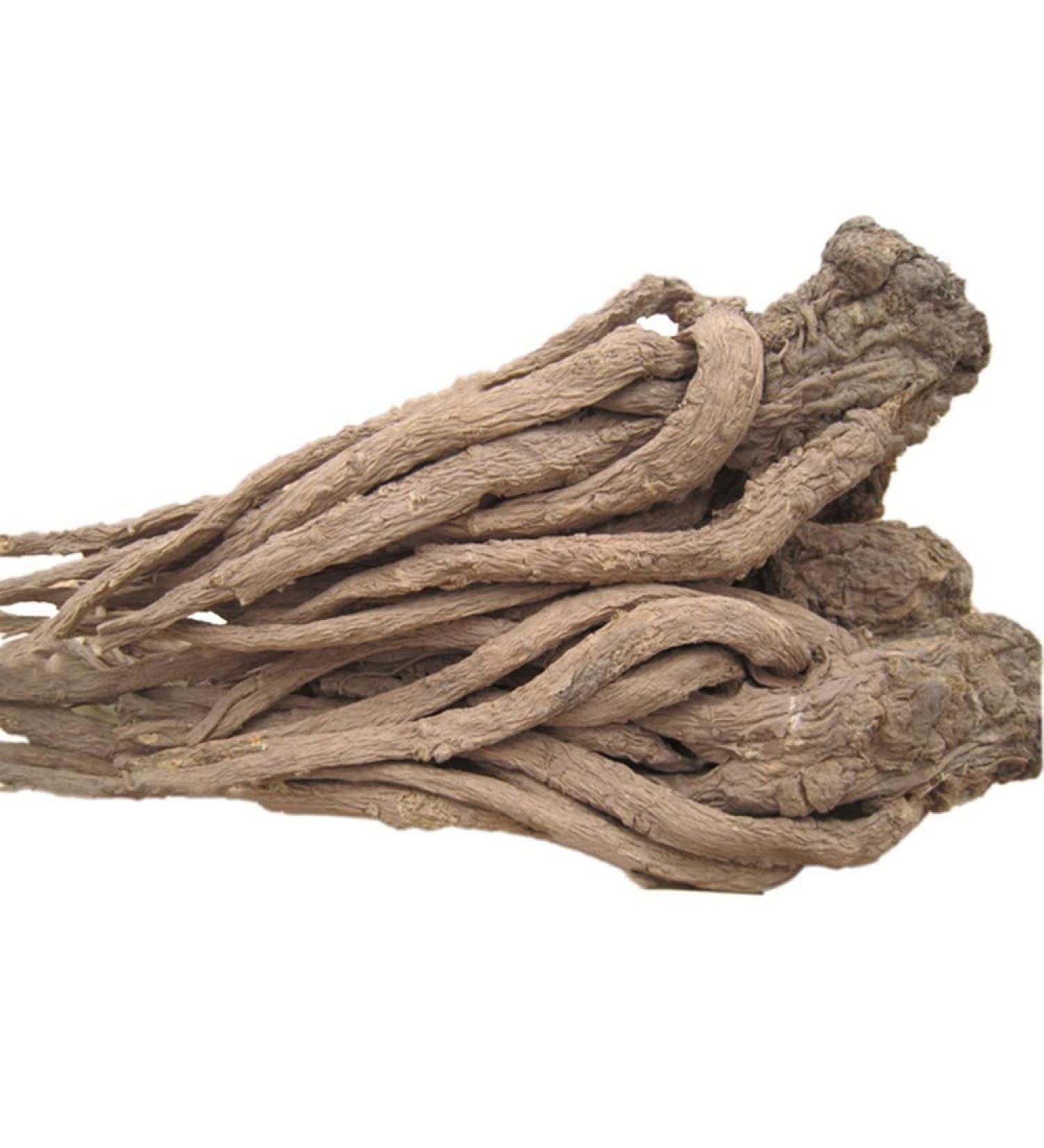 Angelica Sinensis Chinese Angelic Chinese Angelica Root Radix Angelicae Sinensis Angelica Sinensis Diels dang GUI Dong Quai (250 g(0.55 Pound)) - Buy Online on GoSupps.com
