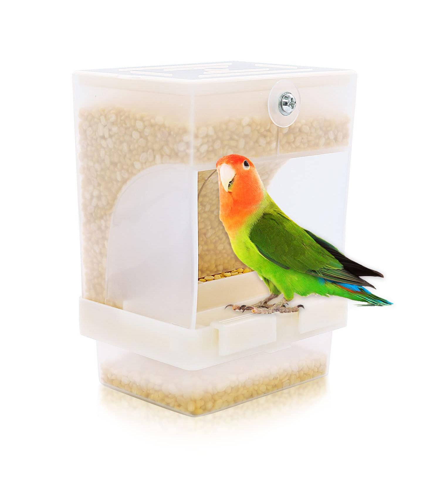Rypet No Mess Bird Feeder - Integrated Automatic Parrot Feeder for Small to Medium Birds - Buy Online on GoSupps.com