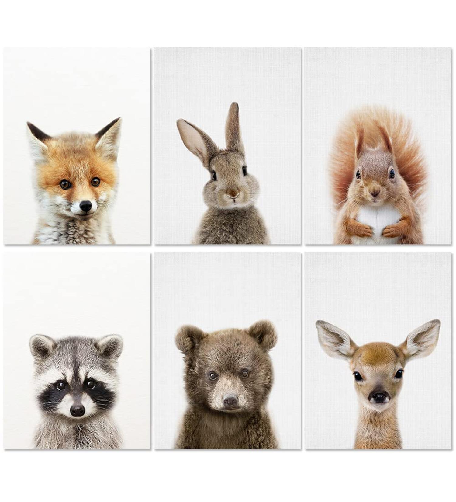Forest Animals Poster Set - Set of 6 Children's Room Wall Art and Safari Decoration - Buy Online on GoSupps.com
