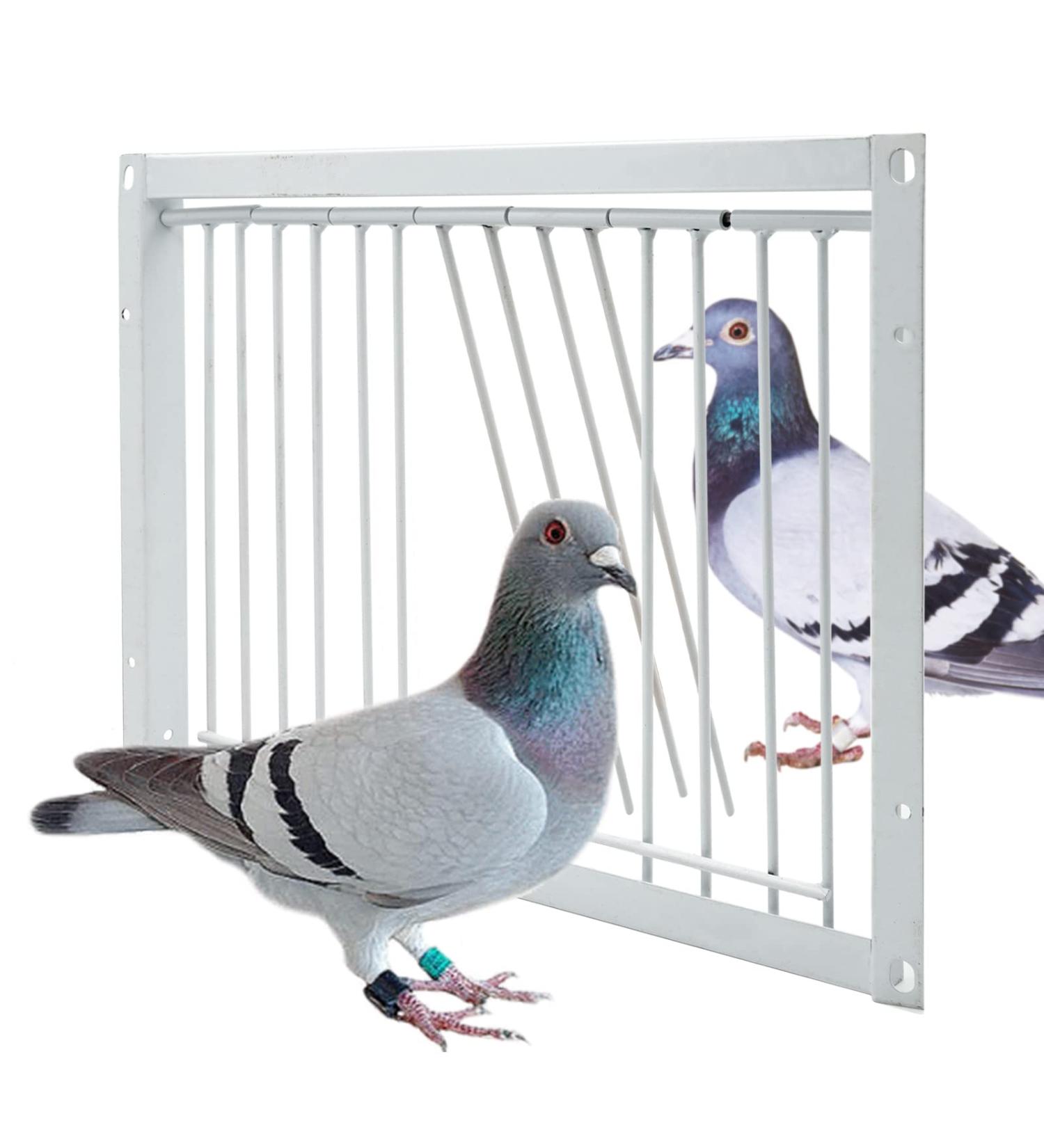 Junniu 11.8in Pigeon Entrance Door One Way Trap for Birdcages - Bird Breeding Supplies & Racing Supply - Buy Online on GoSupps.com