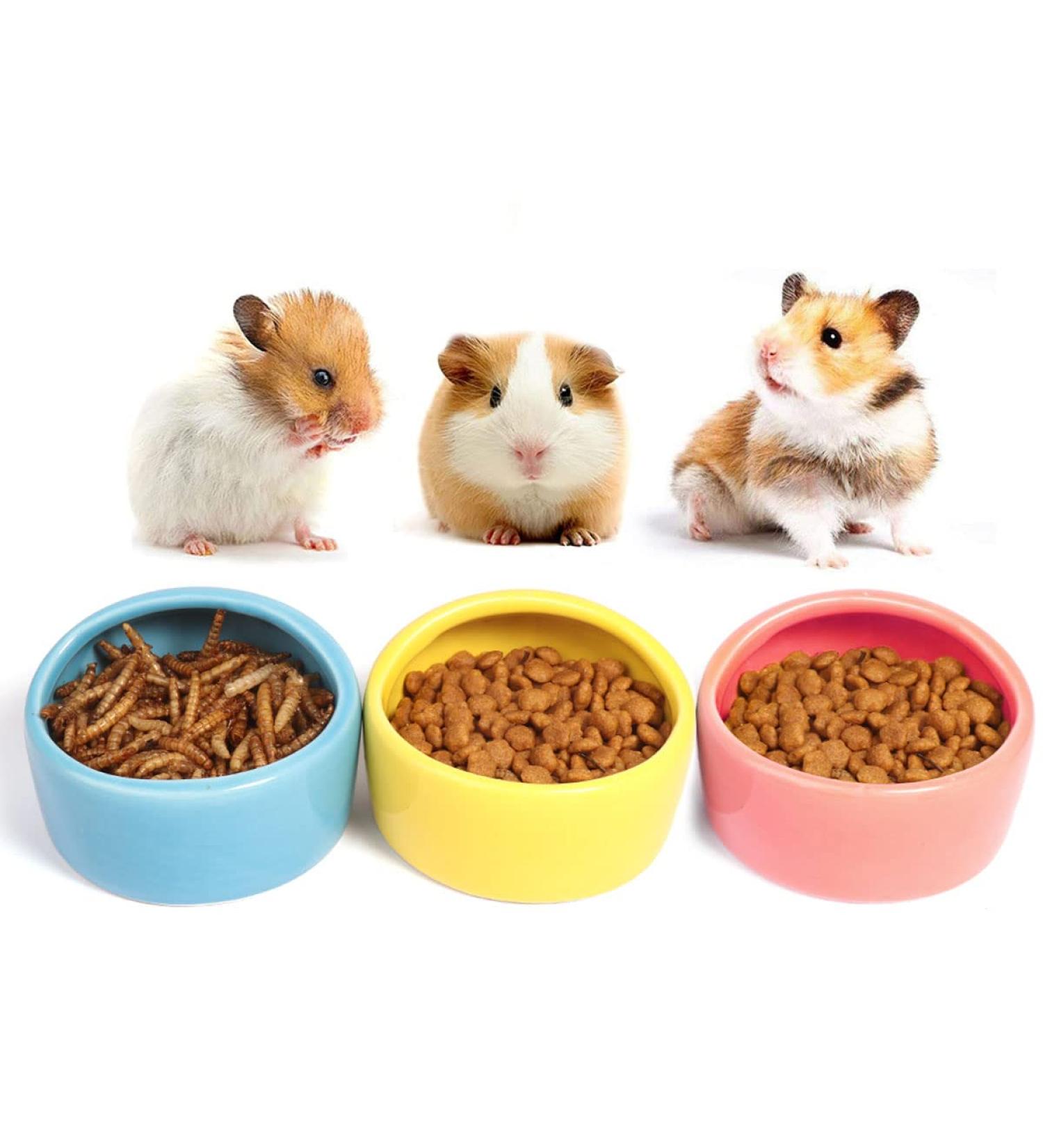 Ceramic Hamster Food Bowl DBAILY 3PCS Hamster Feeding Bowls Eating Basin Feeder Hedgehog Feeder Water Bowl Dish Holder for Guinea Pig Rodent Rat Gerbil Cavy - Buy Online on GoSupps.com