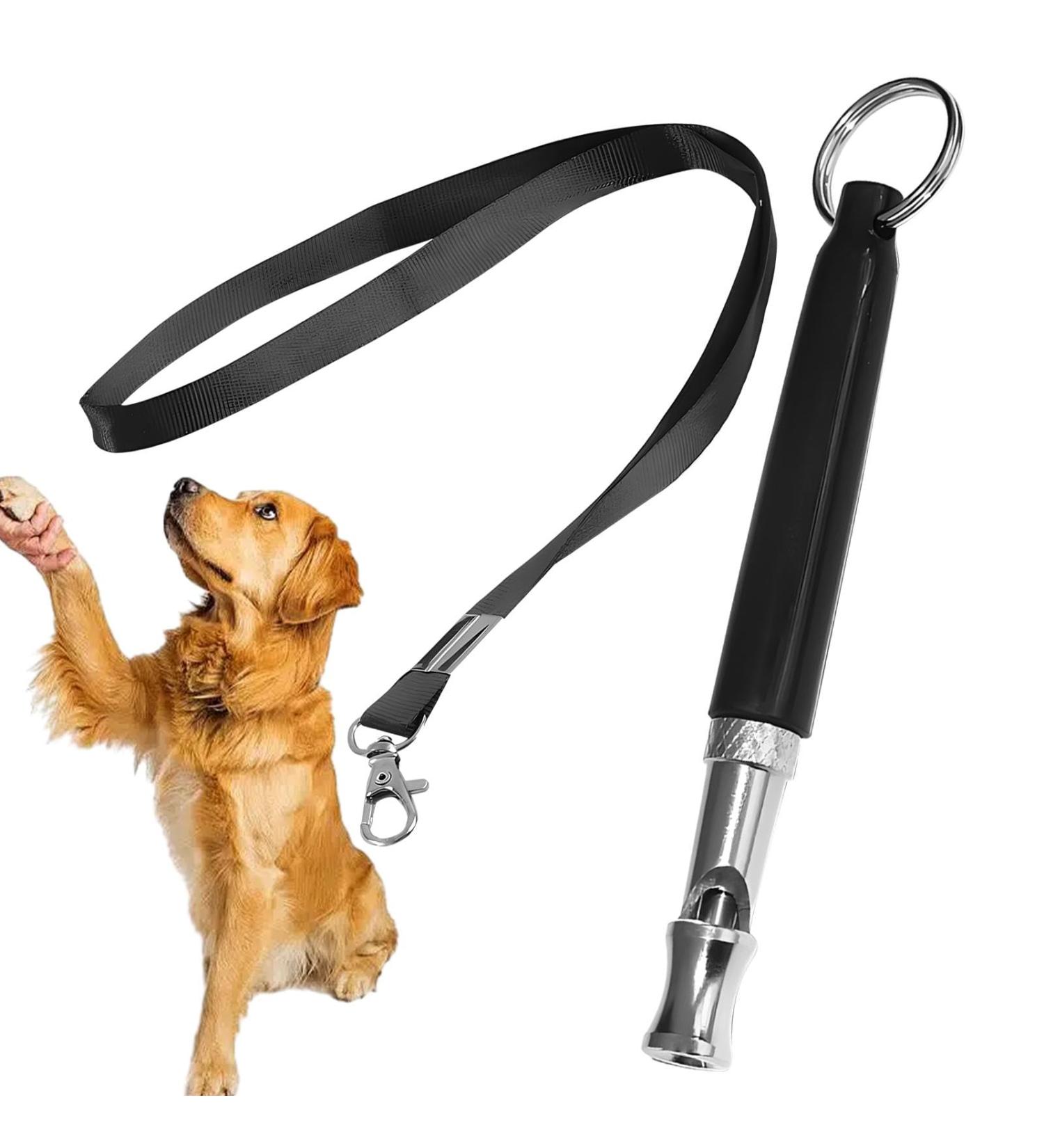 Dog Whistle for Recall Adjustable Frequency Silent Dog Whistle Pet Training Whistle with Lanyard Distance Dog Whistle to Stop Barking(Black Silver size:3.15x0.31inch) 3.15x0.31inch Black Silver - Buy Online on GoSupps.com