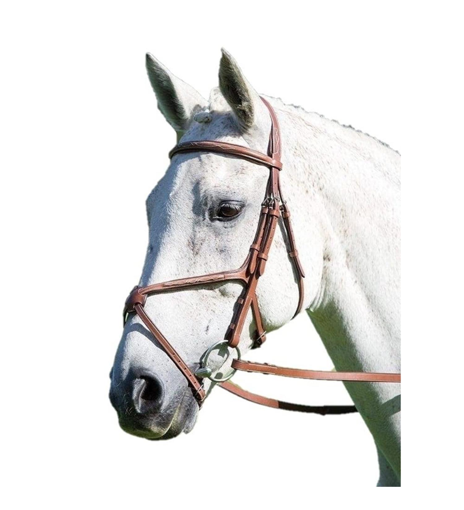 Shires Avignon Mexican Grackle Bridle - Full Size Havana | Premium Equestrian Gear for International Shipping - Buy Online on GoSupps.com