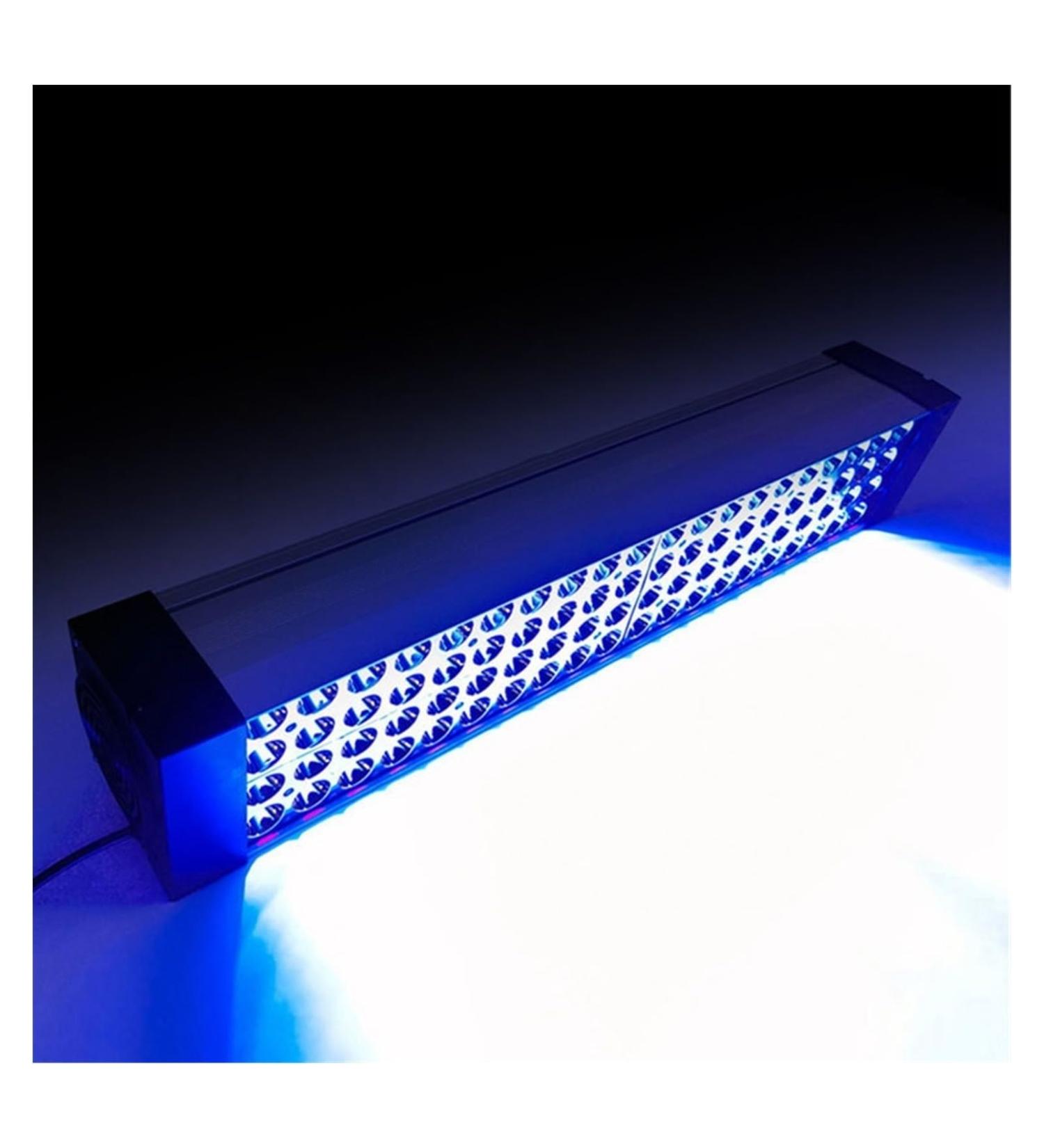 VAESHOWX 1000W UV Ultraviolet Curing Lamp 365nm 395nm 405nm Glue Resin Green Oil Solder PCB Board Coating LCD Screen Paint Varnish (Color : 395nm Size : 1) 1 395nm - Buy Online on GoSupps.com